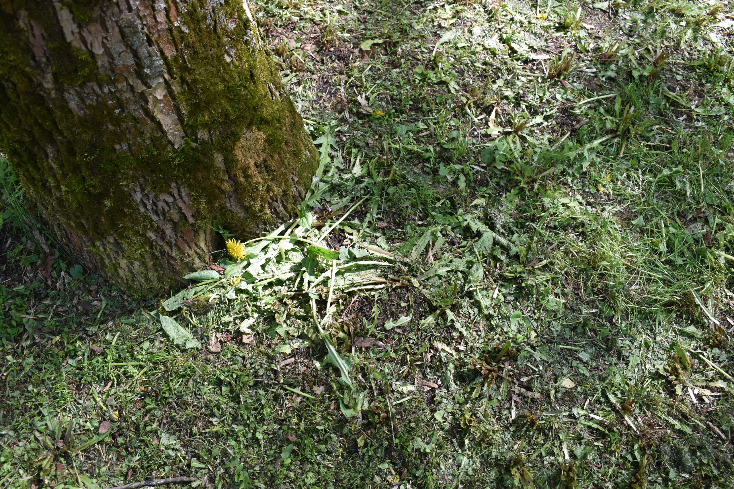 Добрый садовник (в процессе). Микс-медиа художница Надежда Пророкова