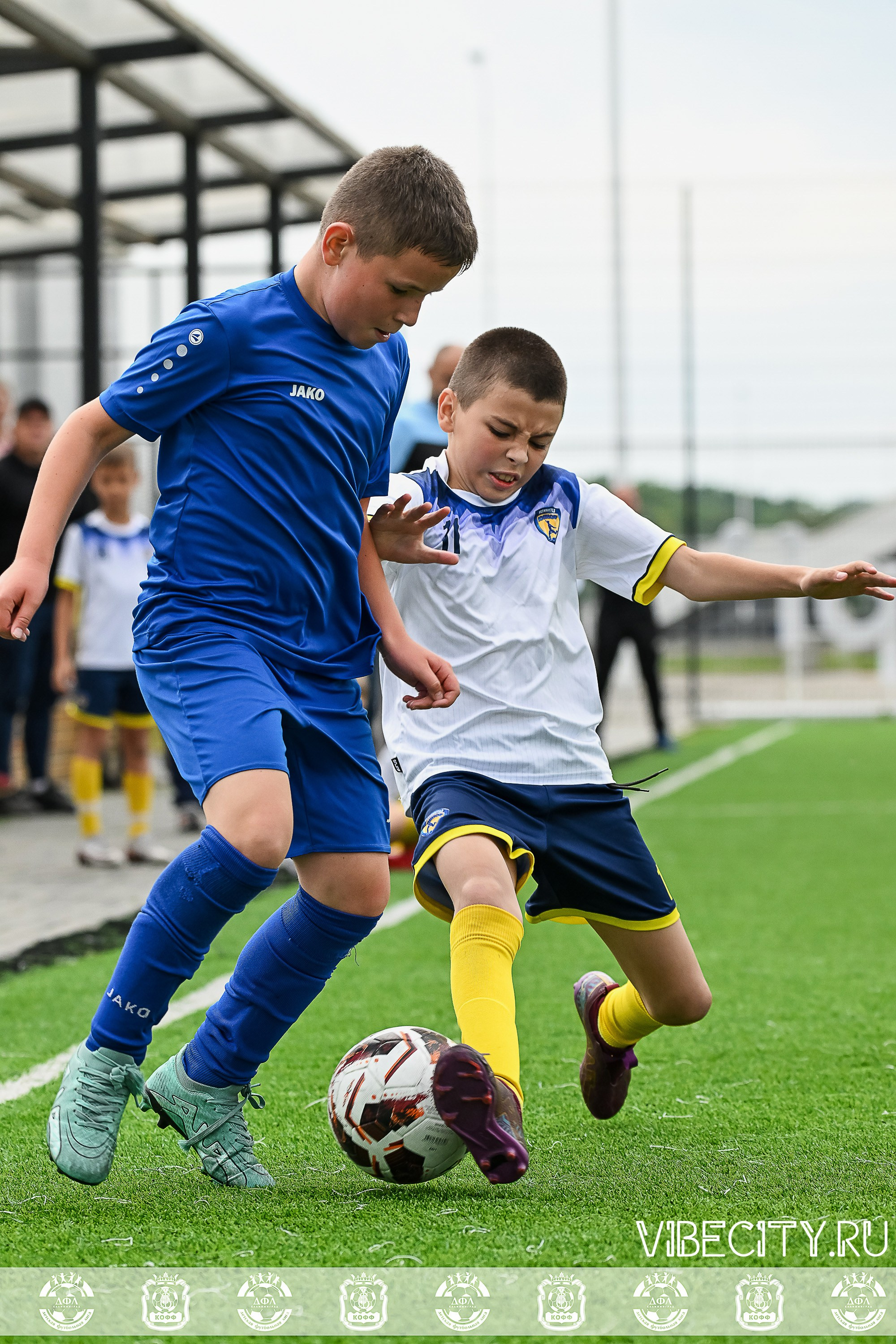 Калининградская Детская Футбольная Лига. VIBECITY.RU Вайб Сити Ру Фоторепортажи Фотоотчеты Калининград