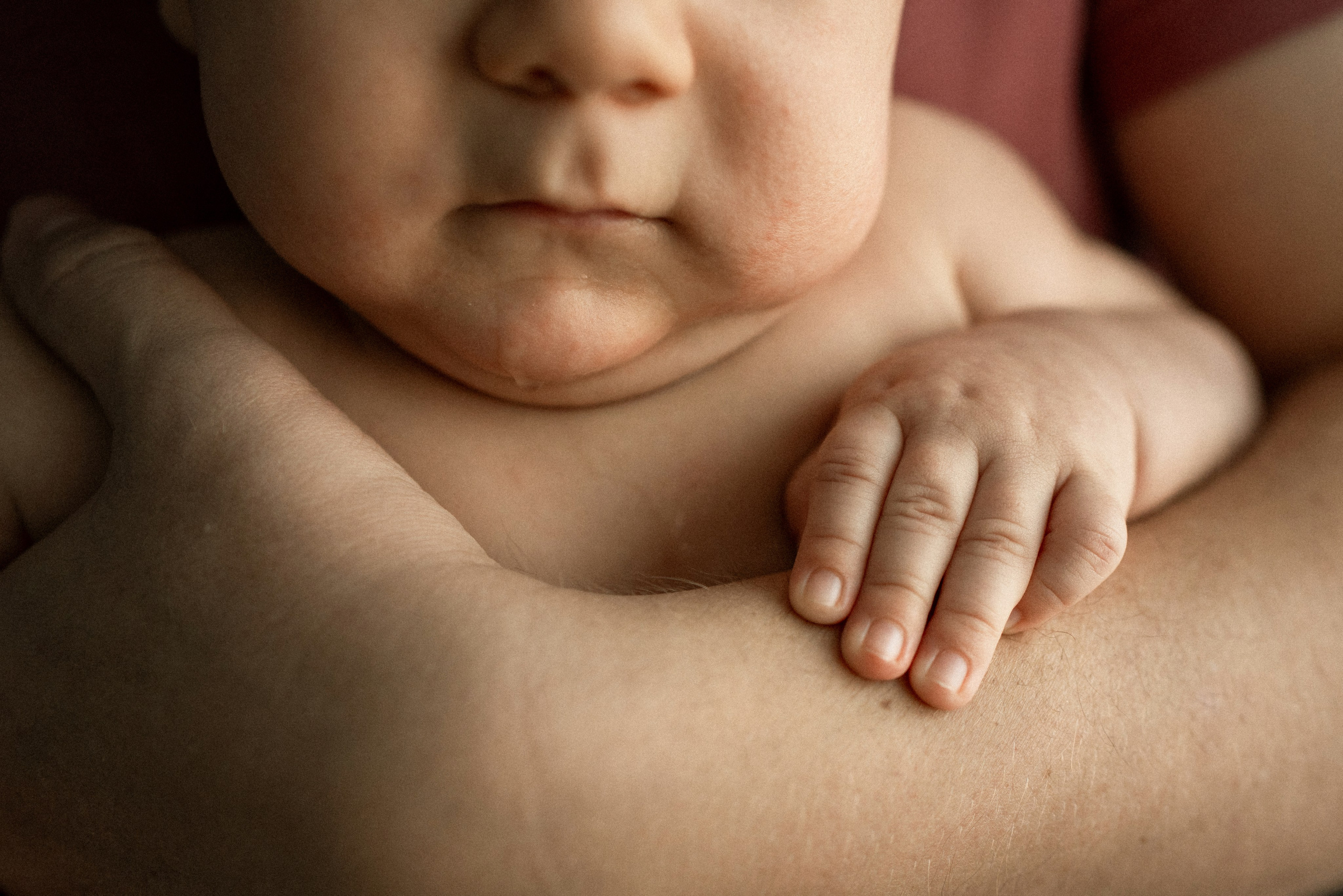 Захару 2 месяца. Семейный фотограф в Санкт-Петербурге — Наташа Тарасенко