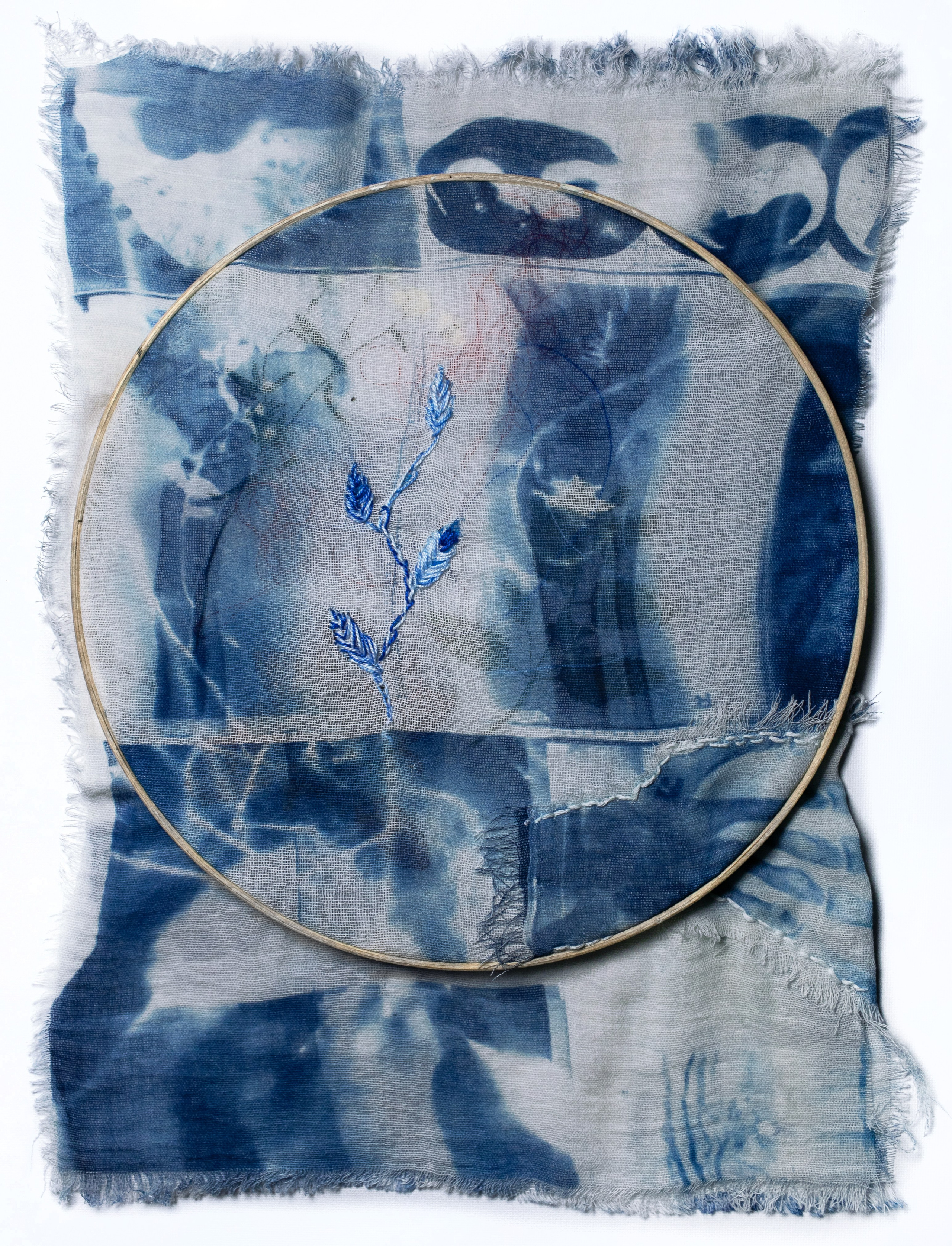 CYANOTYPE. CONTEMPORARY ARTIST OLGA ANDRIYASH