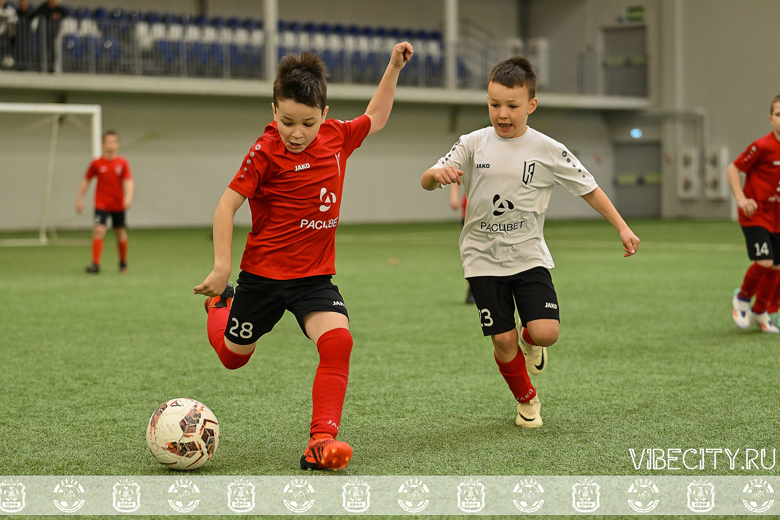 КУБОК БАЛТИЙСКОЙ ЛИГИ ПО МИНИ-ФУТБОЛУ U9 ЗЛ. VIBECITY.RU Вайб Сити Ру Фоторепортажи Фотоотчеты Калининград