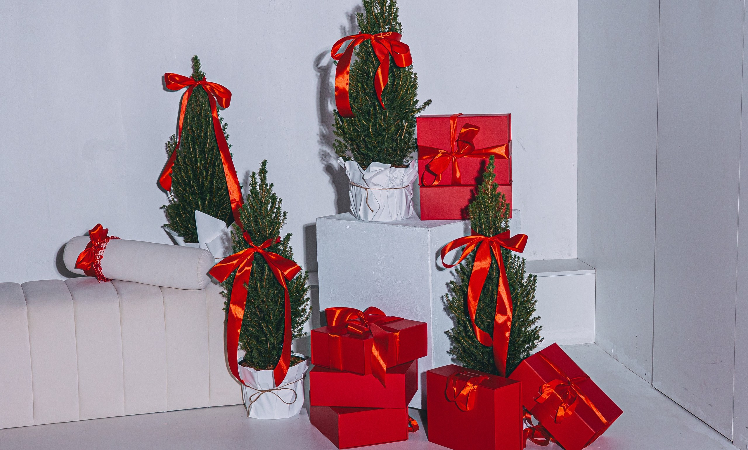 Фотостудии. Свадебный и семейный фотограф в Туле Анастасия Чаликова