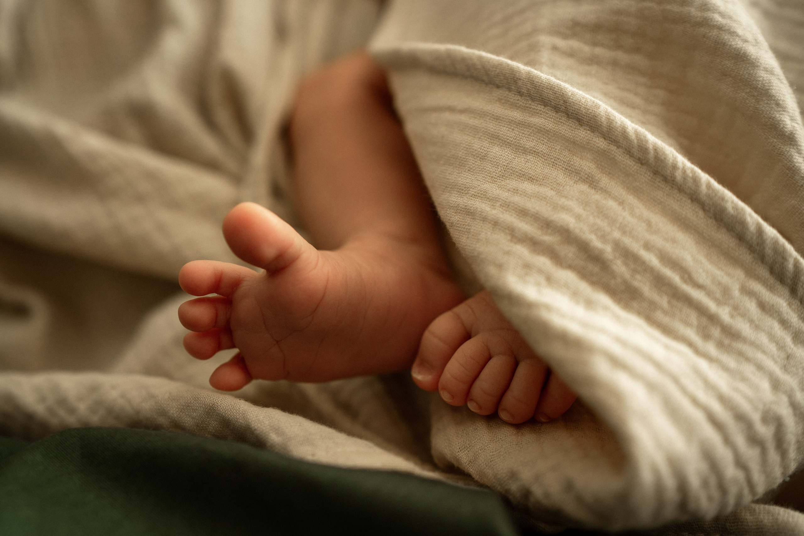 Ясе 1 месяц. Семейный фотограф в Санкт-Петербурге — Наташа Тарасенко