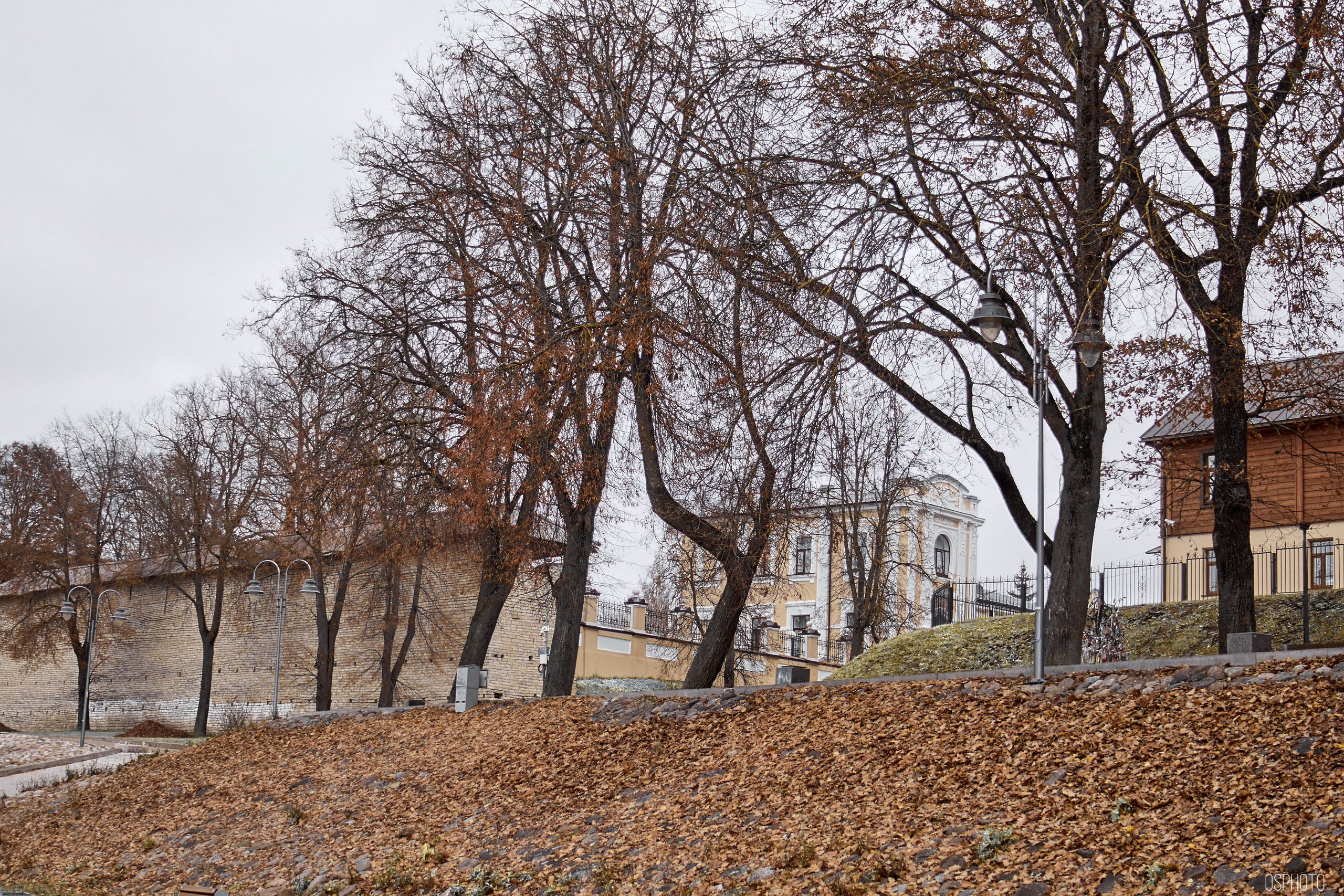 Псков. Ноябрь. Фотографъ Сергѣевъ. Поймать мгновеніе