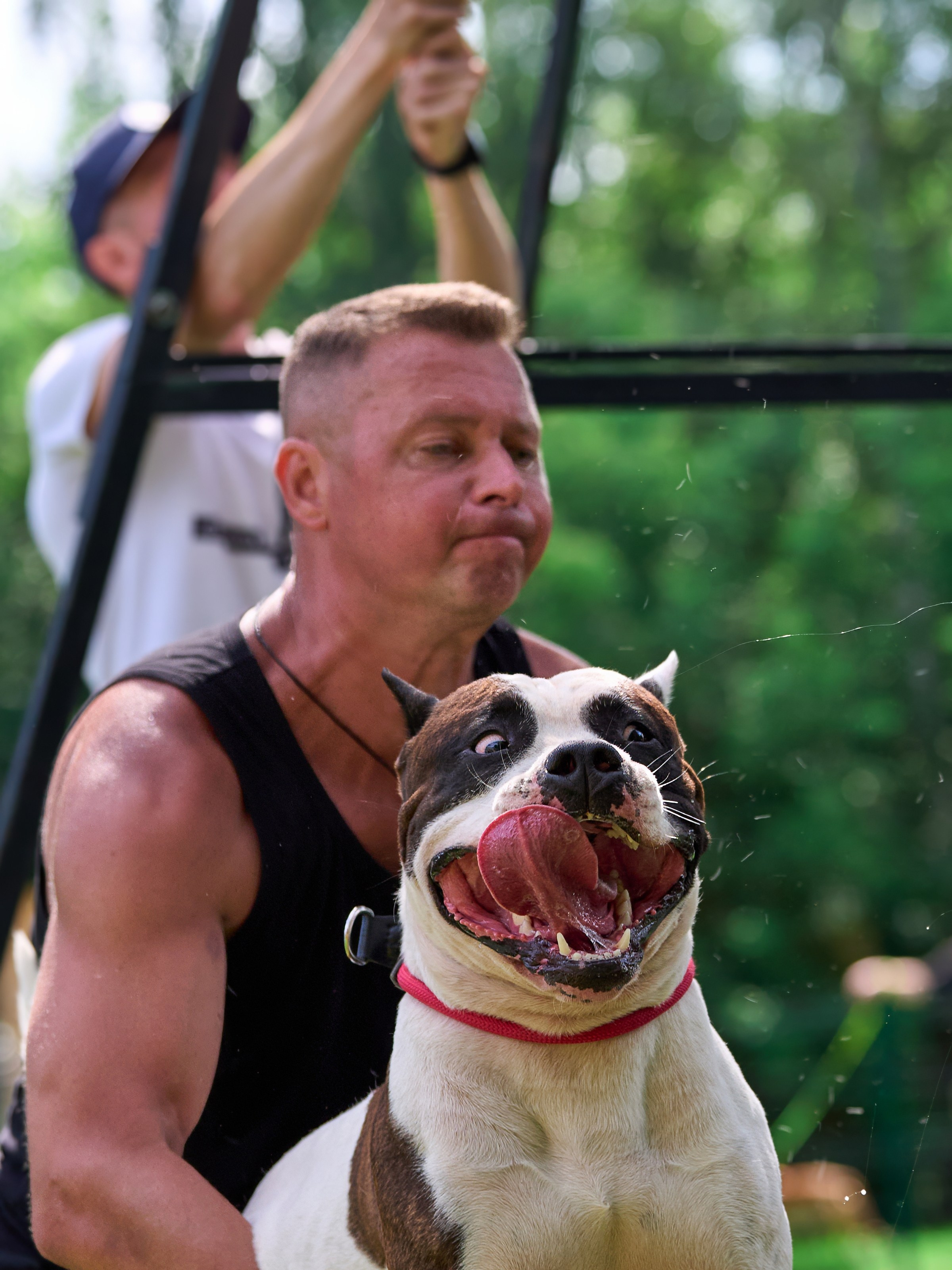Двухдневные соревнования «Jump'n'Gym Fest — 2024». Фотограф-анималист Михаил Манухин