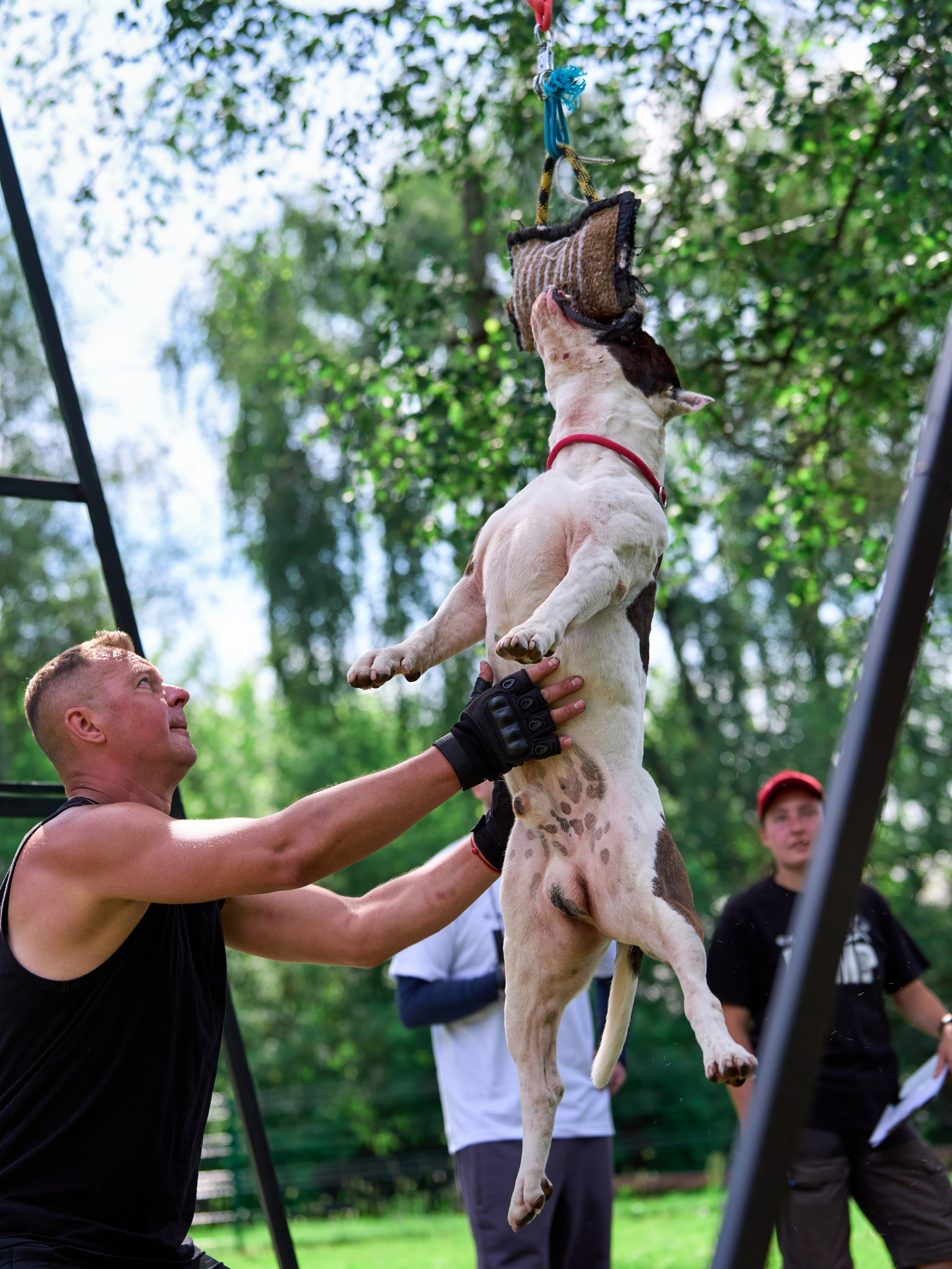 Двухдневные соревнования «Jump'n'Gym Fest — 2024». Фотограф-анималист Михаил Манухин