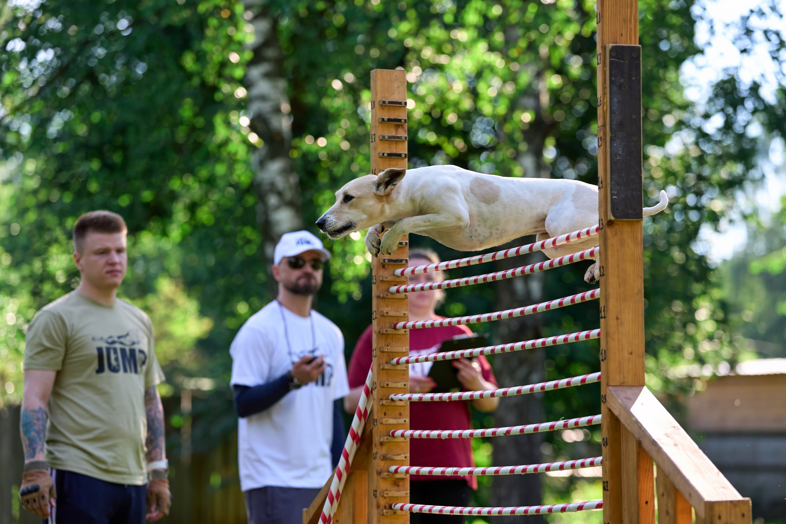 Двухдневные соревнования «Jump'n'Gym Fest — 2024». Фотограф-анималист Михаил Манухин