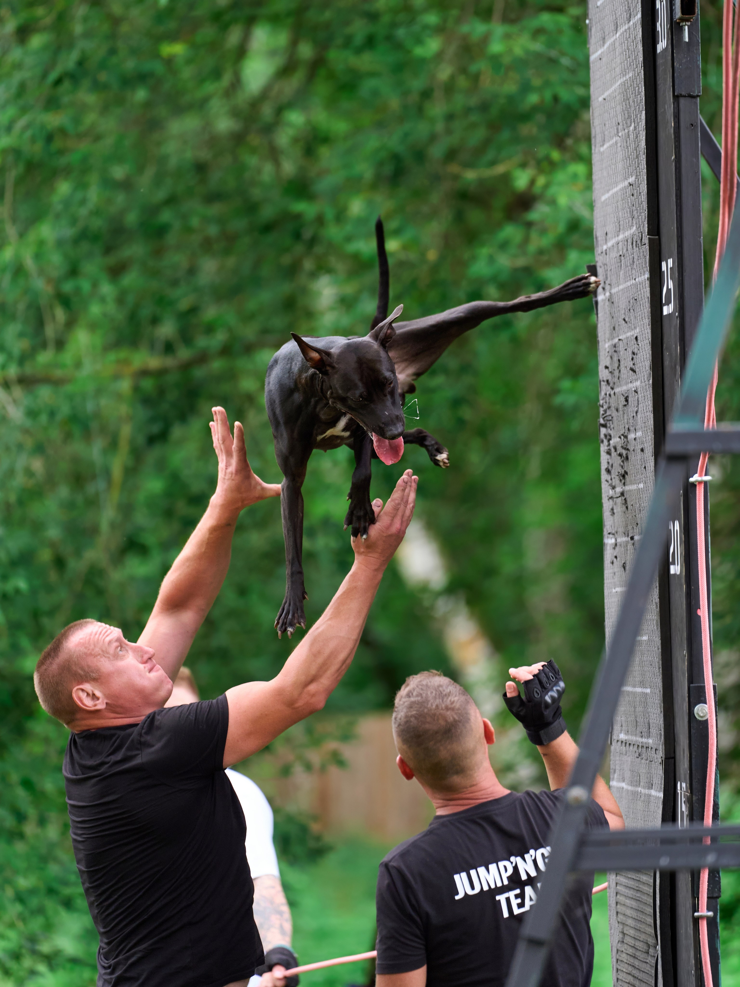 Jump'n'Gym JUMP! — 2024. Фотограф-анималист Михаил Манухин