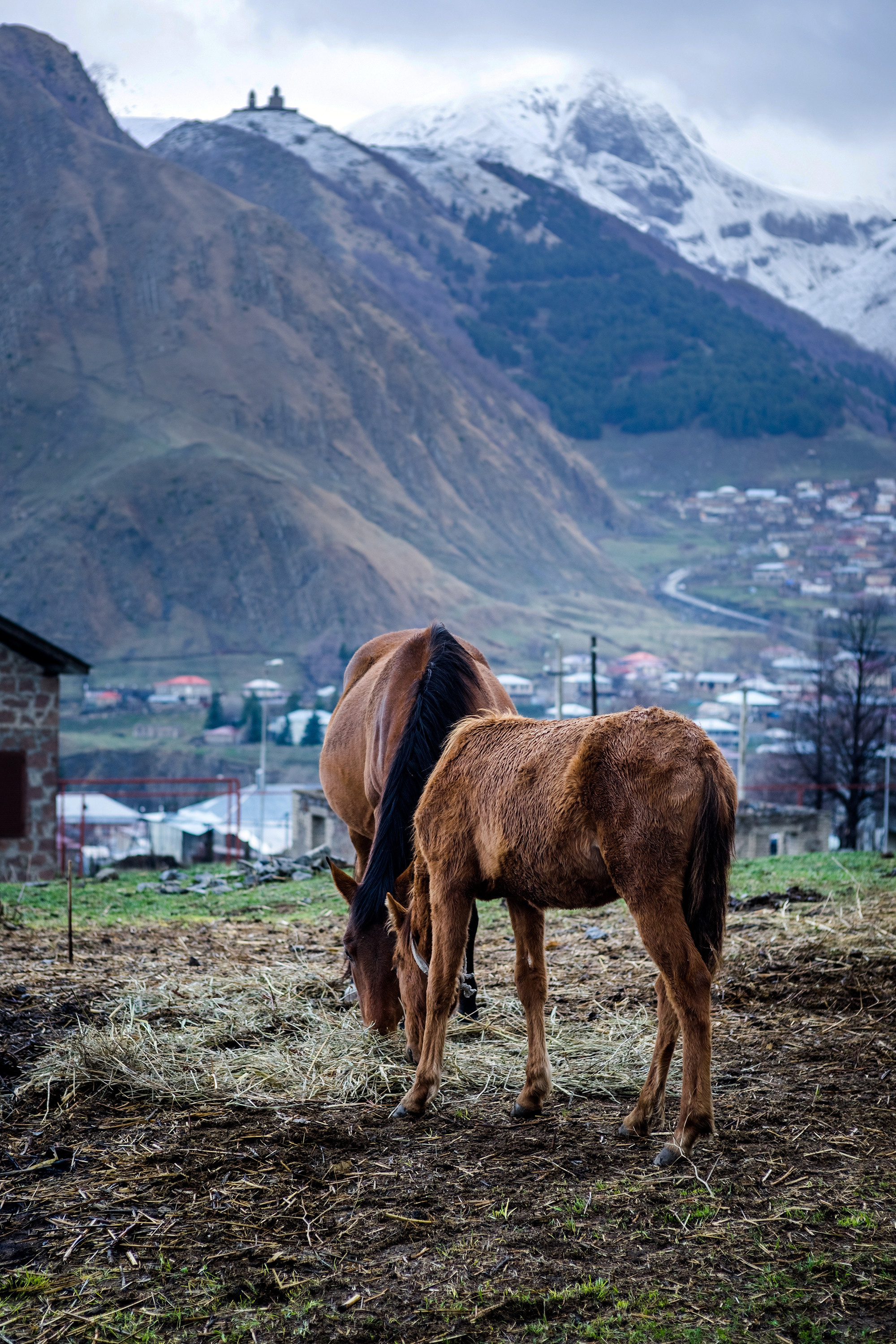 Фототур в Грузию / Казбеги