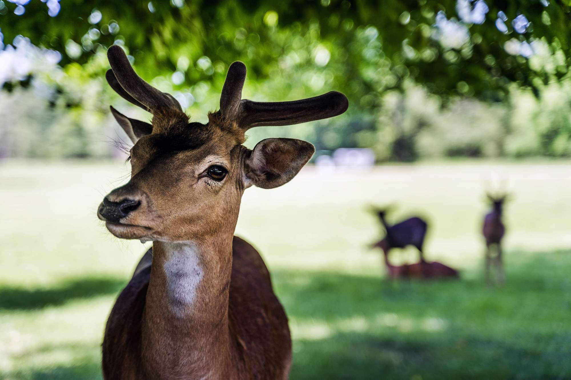 Фототур в Чехию