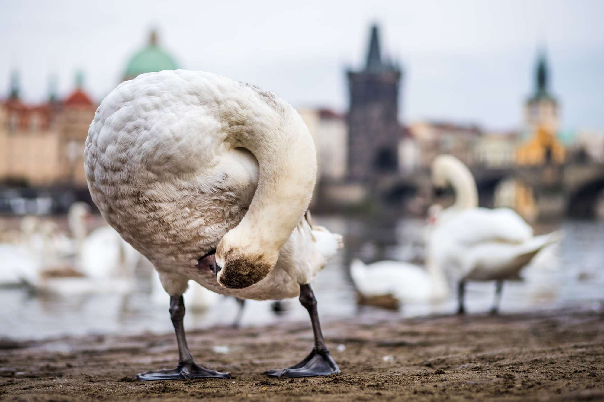 Фототур в Чехию