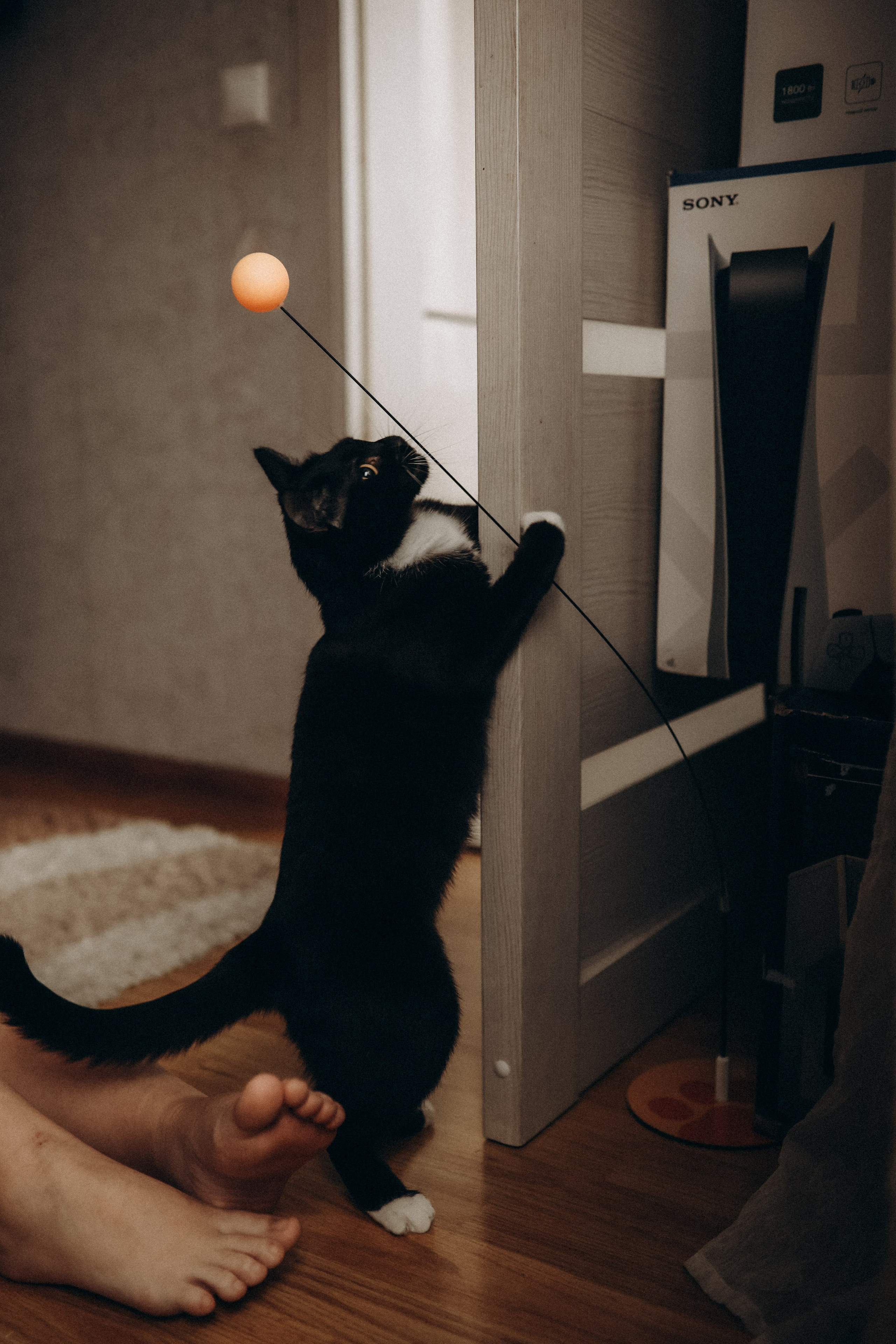 Беременная фотосессия Виктории и Влада. Семейный фотограф в Москве и Люберцах Юлия Гуськова