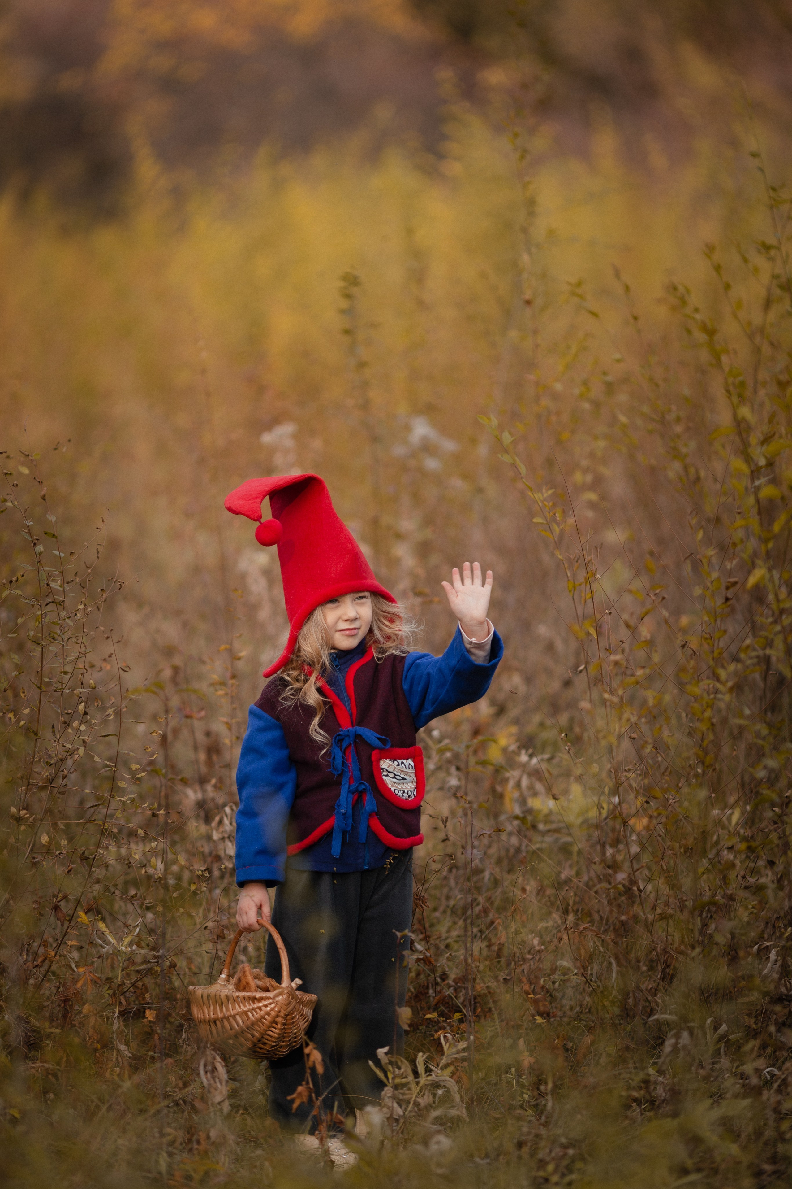 Лесные гномы