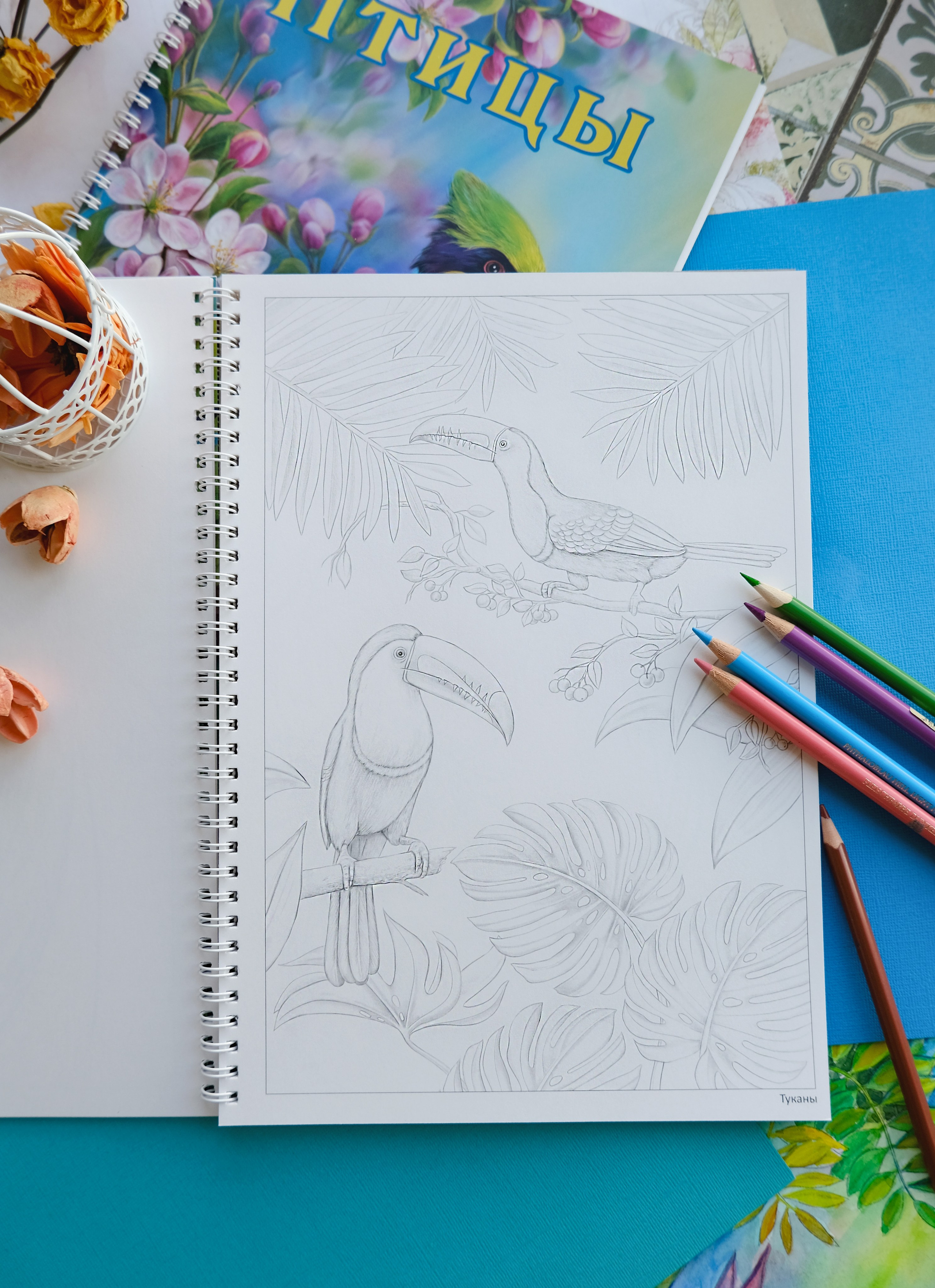 Авторская раскраска от художника Птицы. Раскраски Алёны Лазаревой