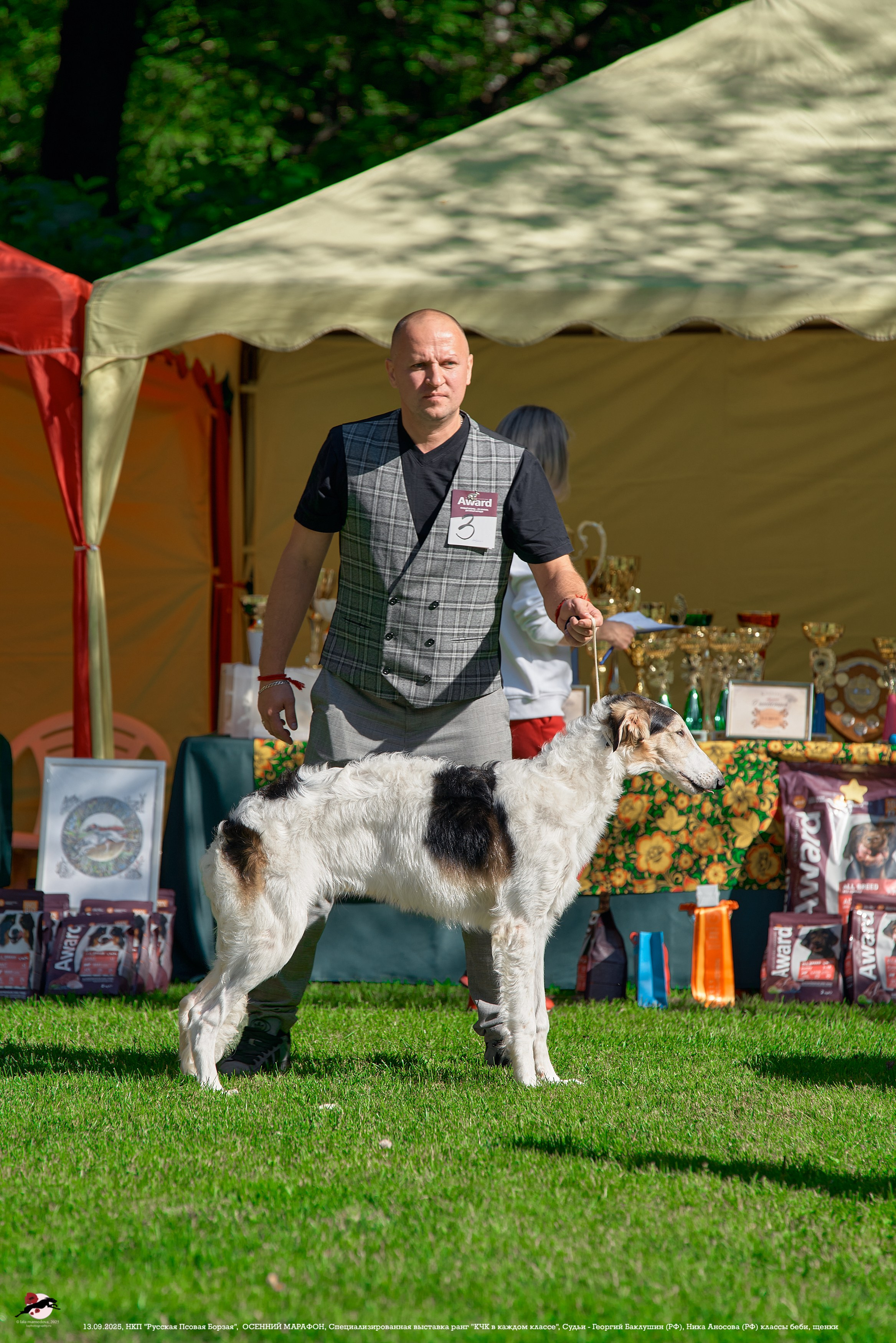 ОСЕННИЙ МАРАФОН | Специализированная выставка породы Русская Псовая Борзая ранг "КЧК в каждом классе"