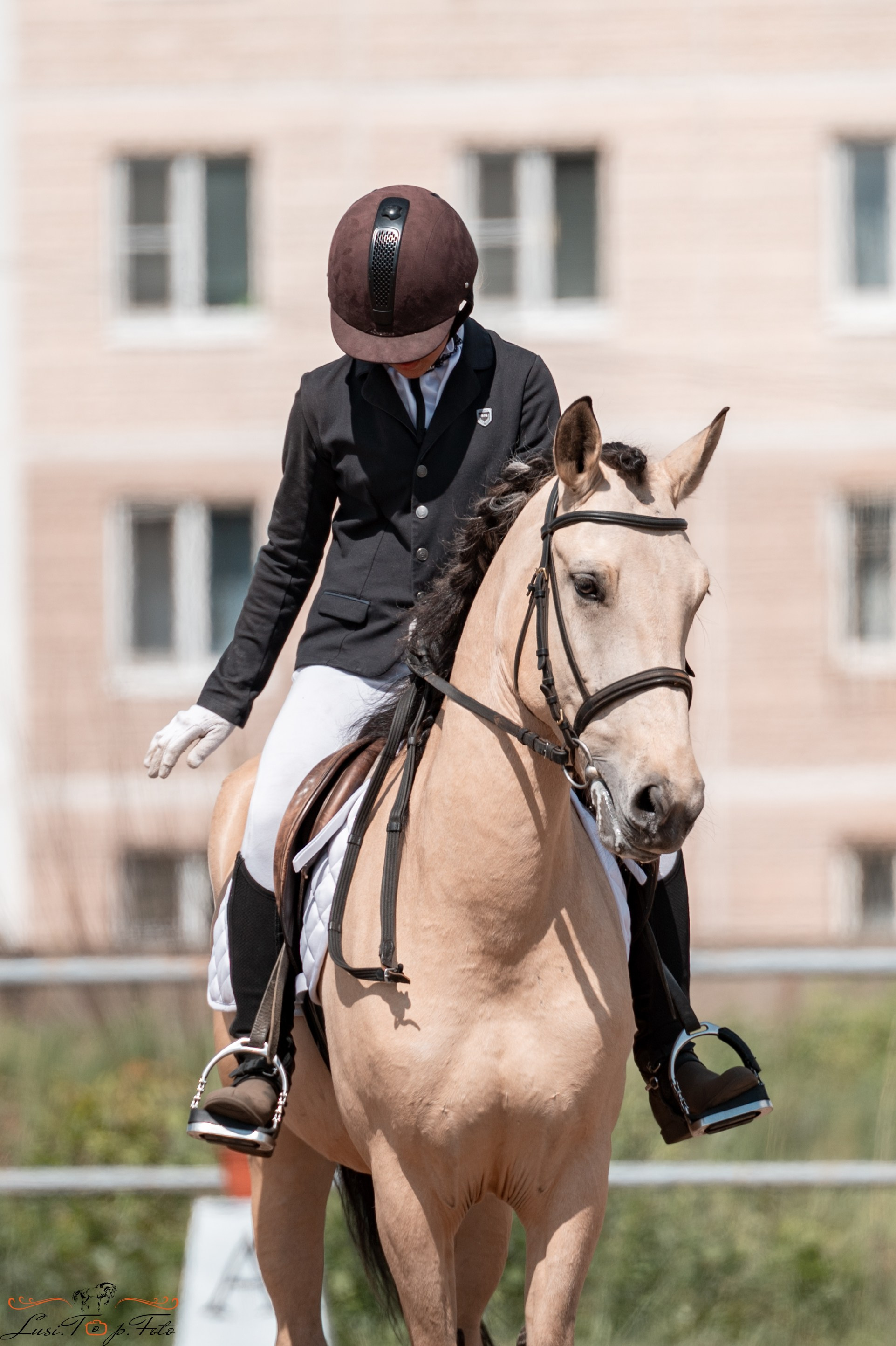 Областные соревнования по выездке. Тверь. Конный и фотограф с животными в Твери Топталова Люся