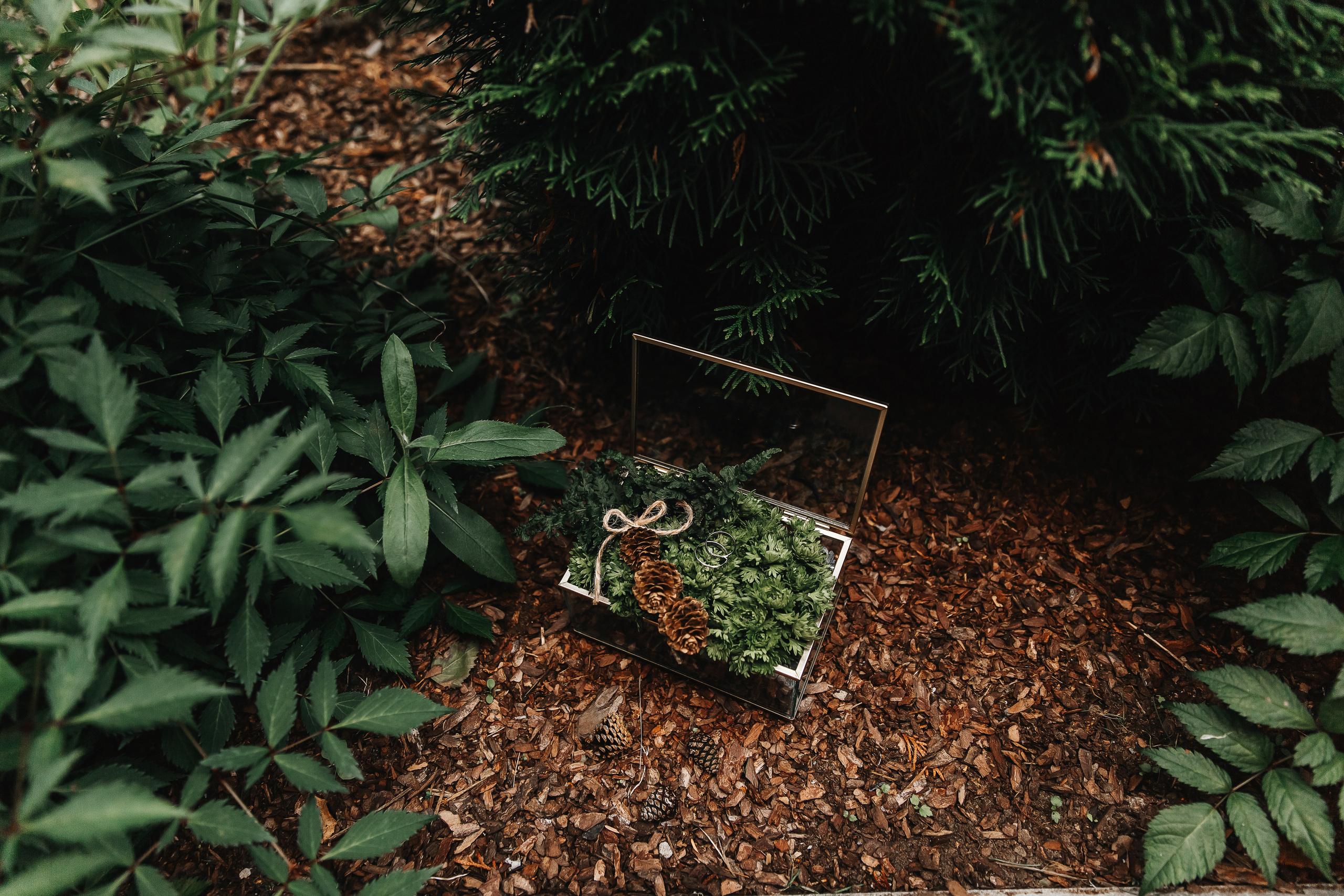 Никита и Маша. Свадебный фотограф Ярославль Ирина Волоцкая