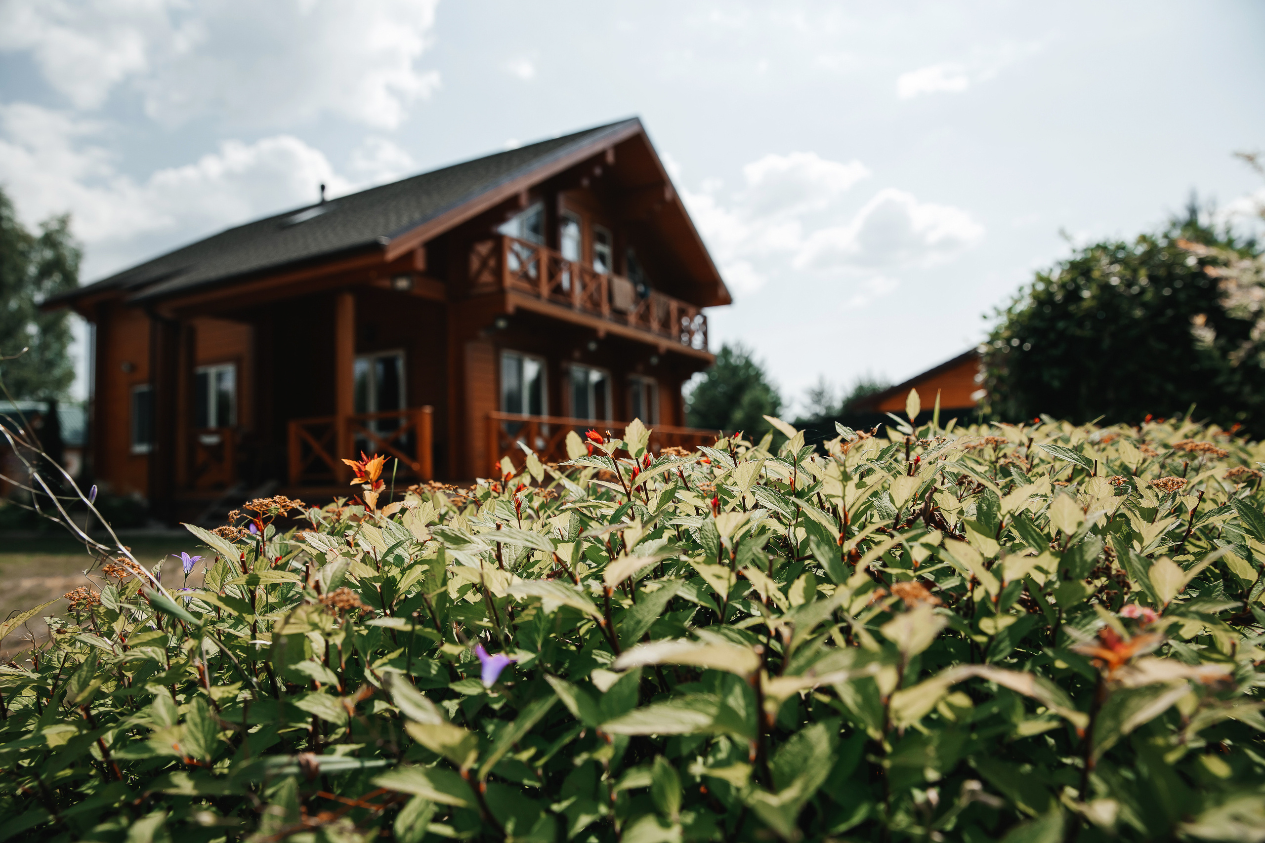 Никита и Маша. Свадебный фотограф Ярославль Ирина Волоцкая