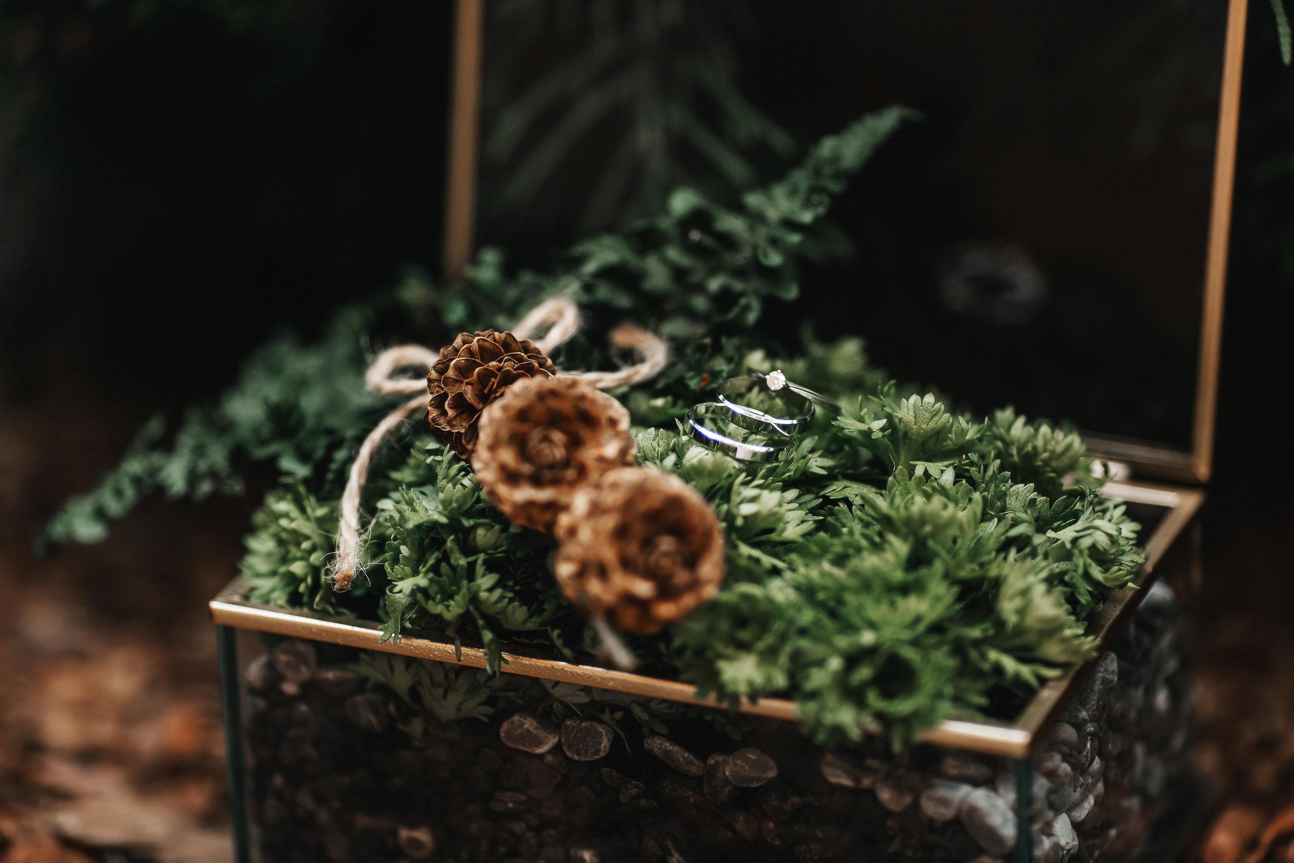 Никита и Маша. Свадебный фотограф Ярославль Ирина Волоцкая