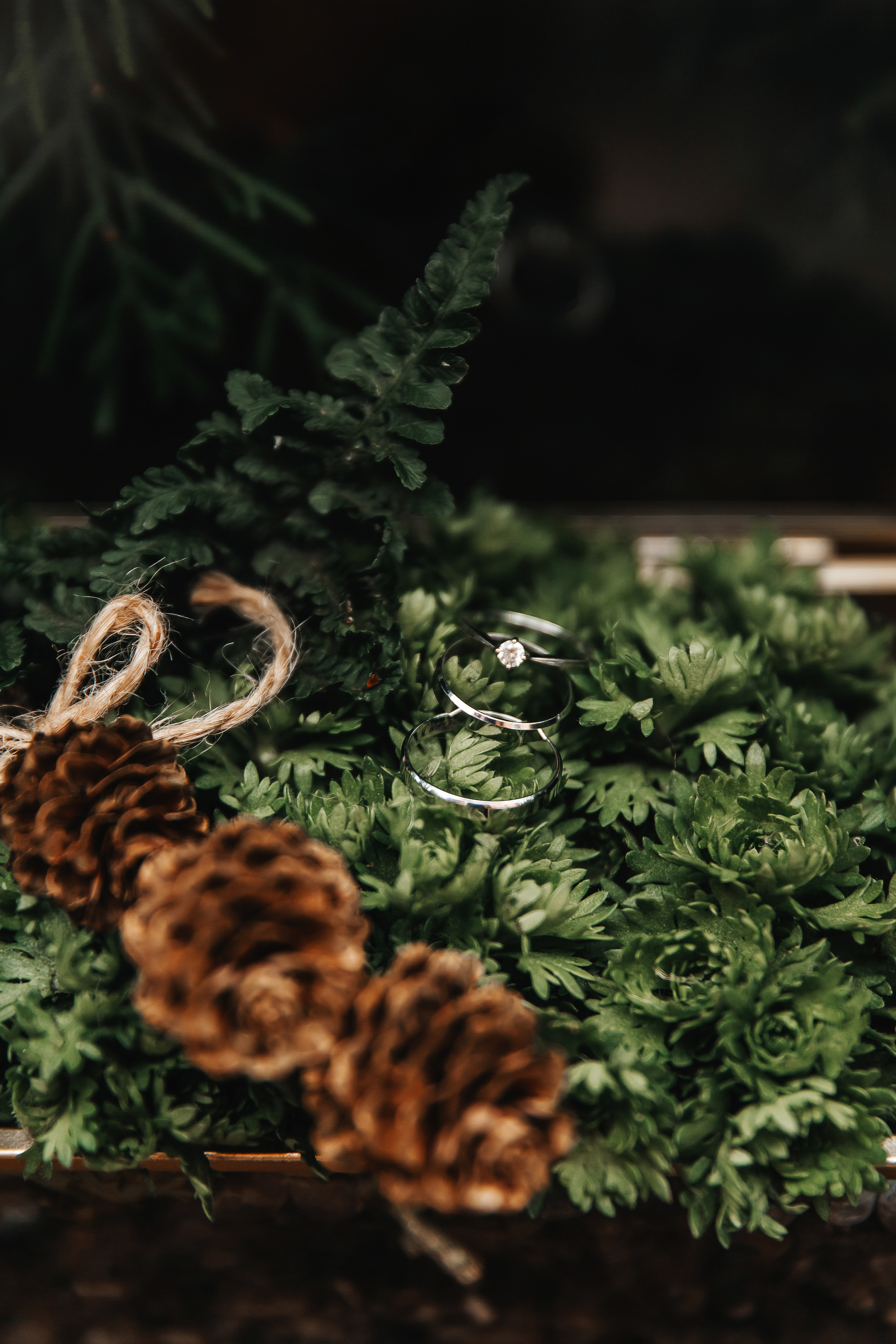 Никита и Маша. Свадебный фотограф Ярославль Ирина Волоцкая