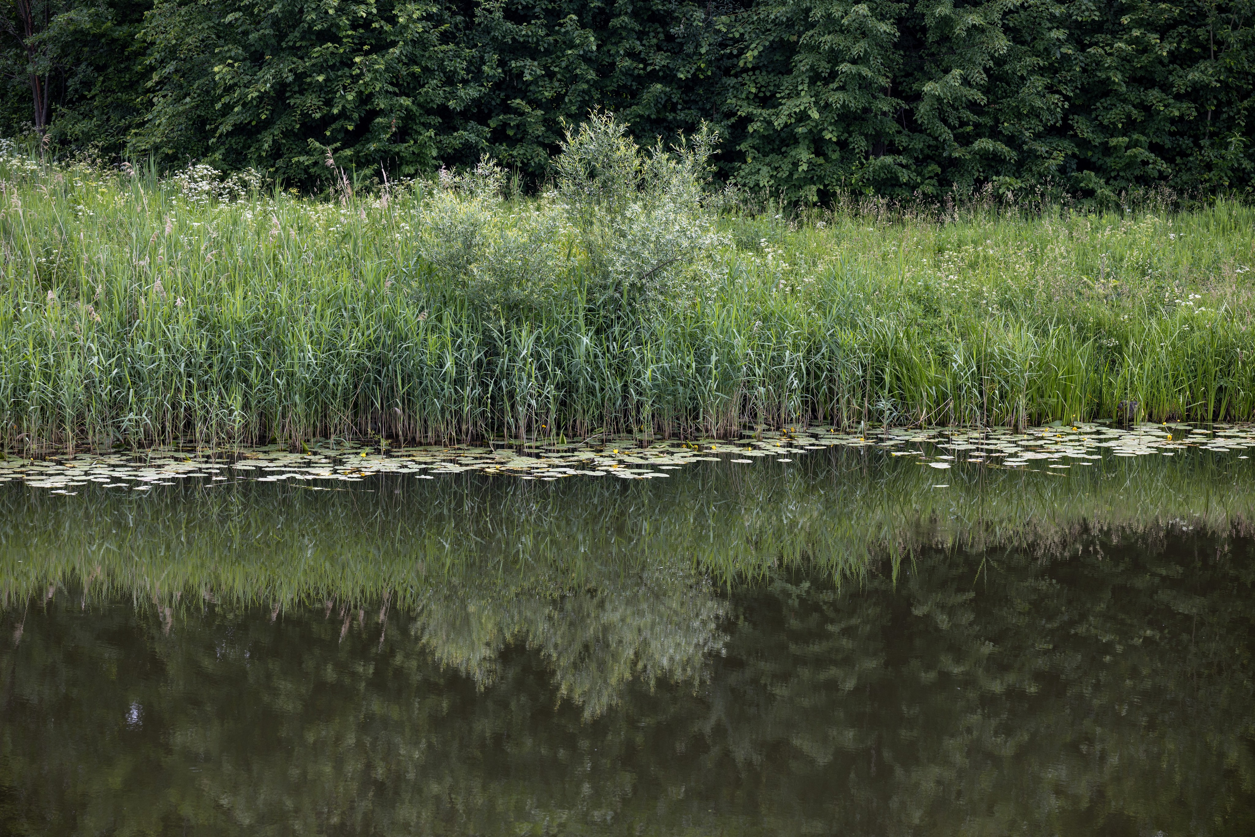 Путешествие по Суздалю. Портретный фотограф в Костроме Наталия Клевинскас