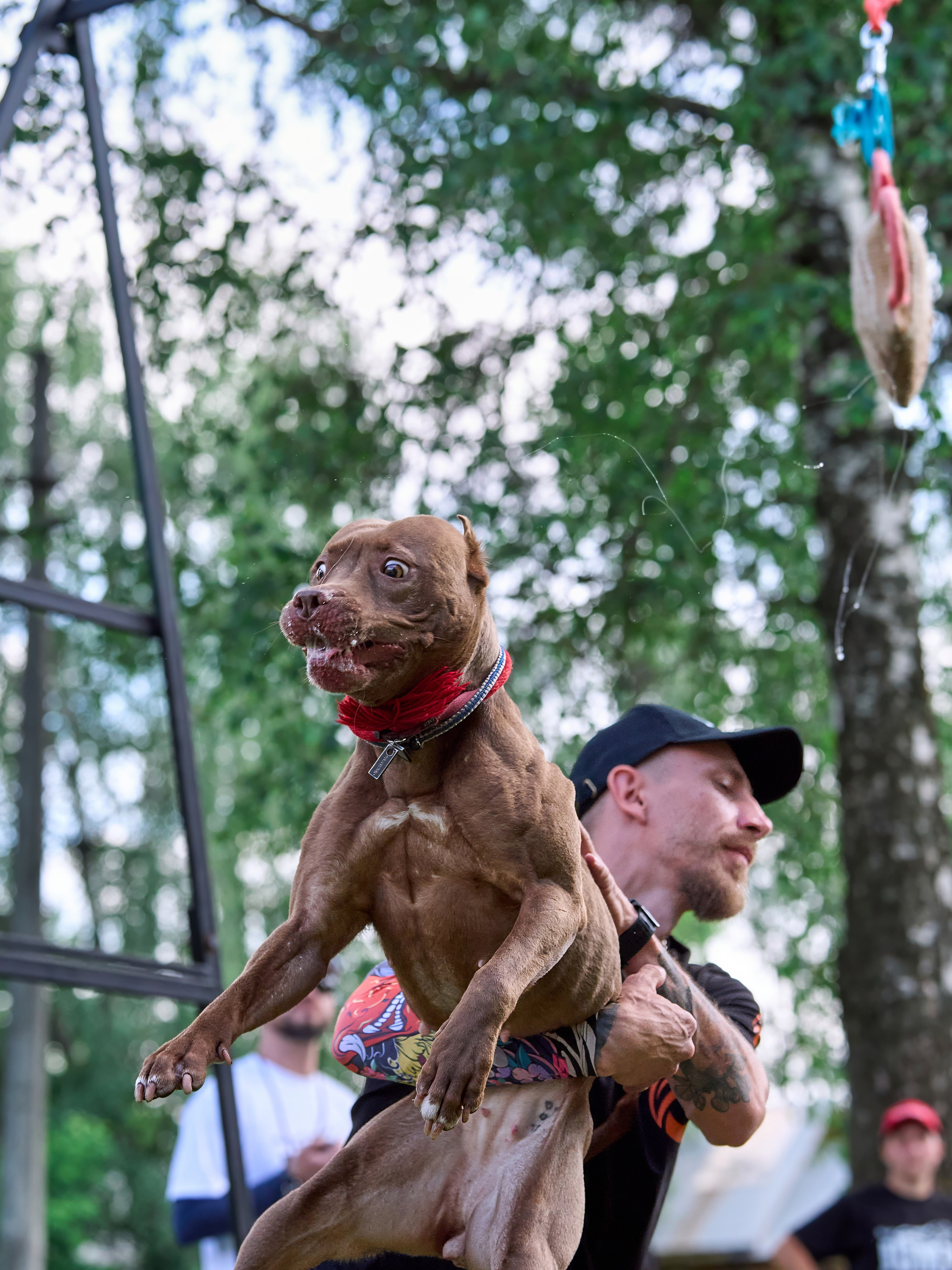 Двухдневные соревнования «Jump'n'Gym Fest — 2024». Фотограф-анималист Михаил Манухин