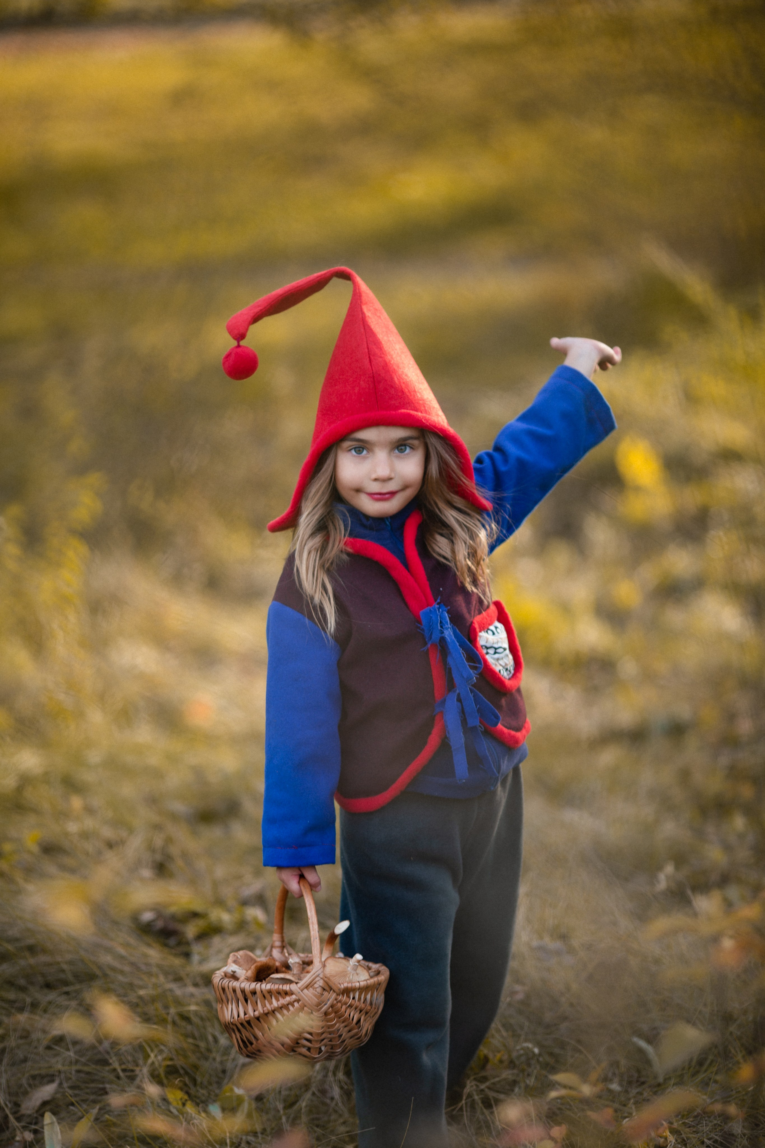 Лесные гномы