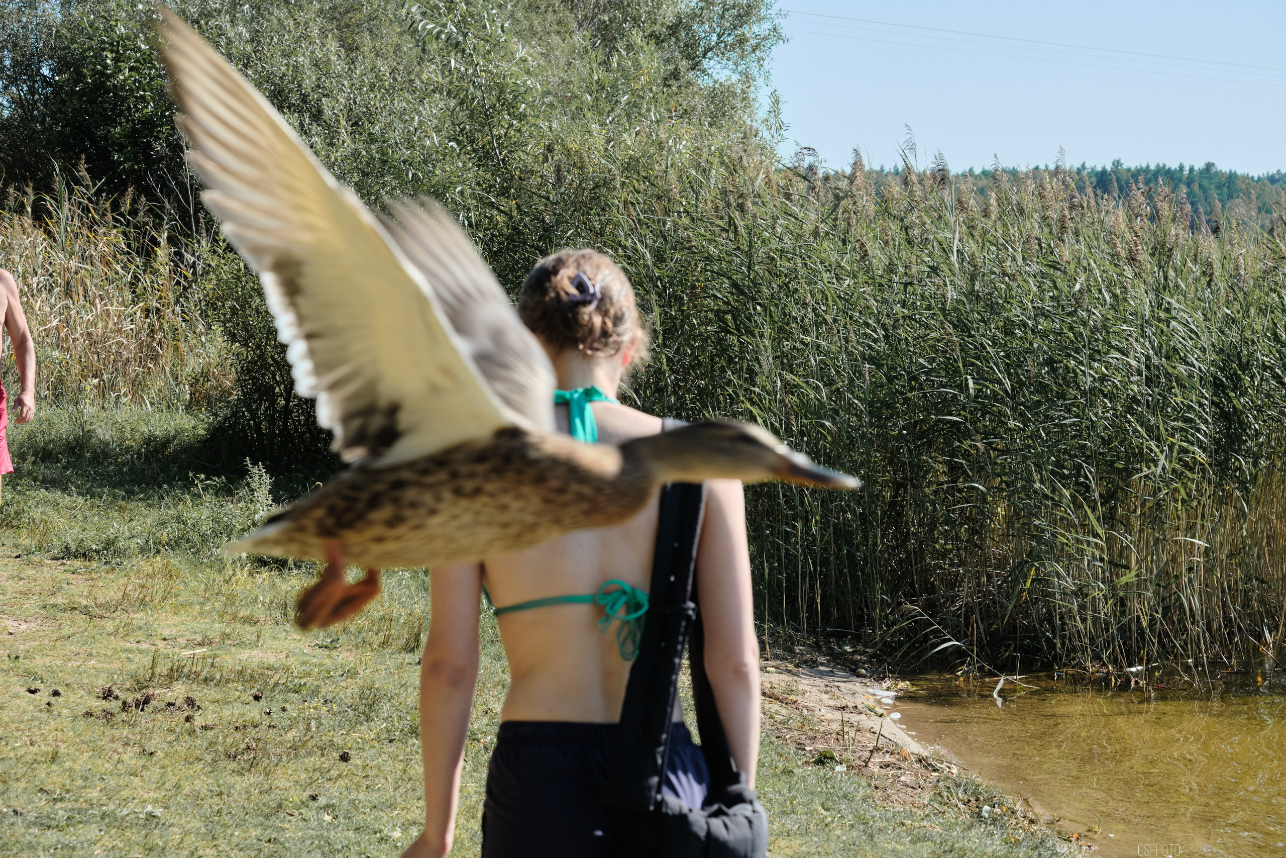 Вейк-парк Сапшо. Фотографъ Сергѣевъ. Поймать мгновеніе