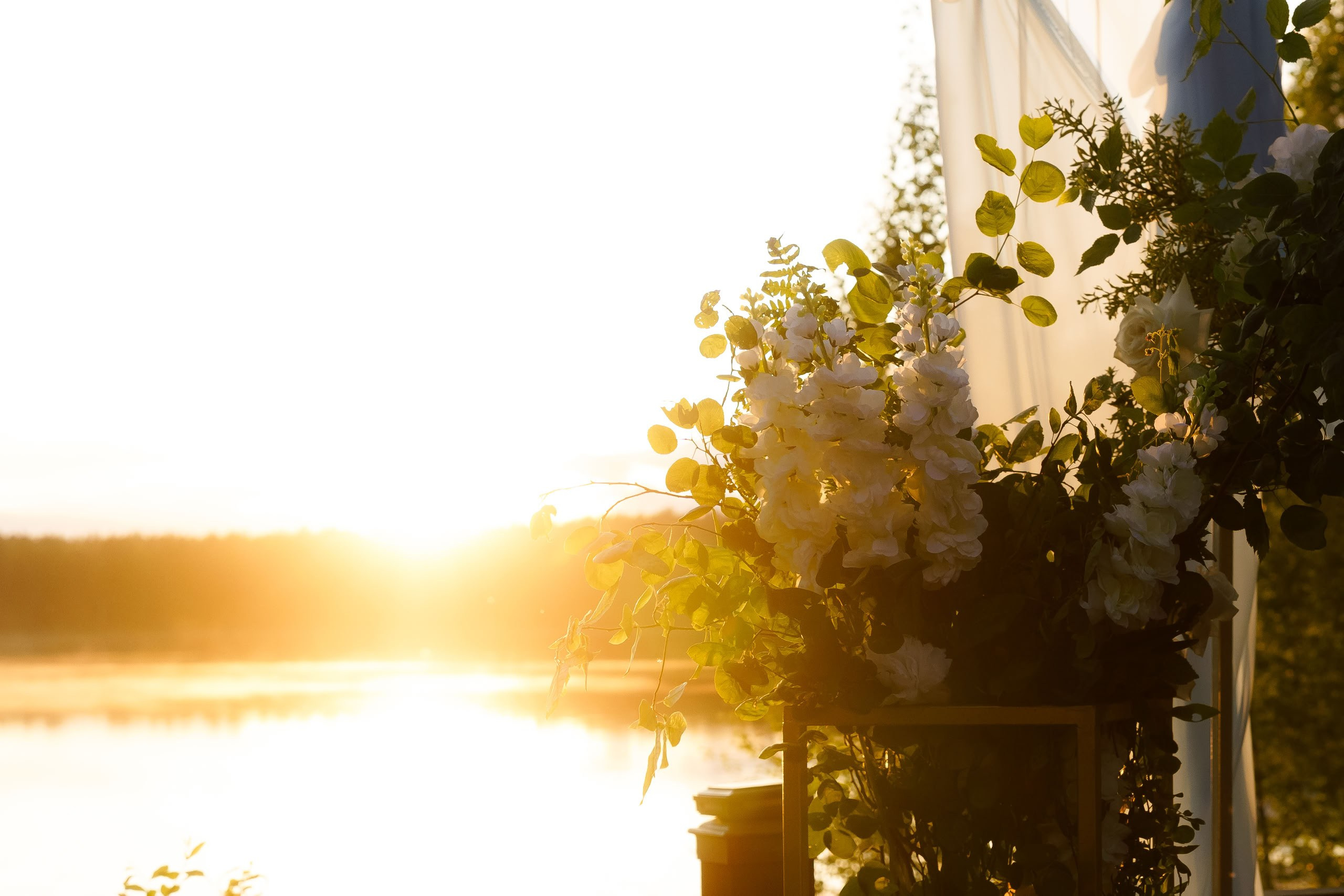 Мария и Михаил — прогулка у озера и церемония. Свадебный фотограф Дмитрий Родионов — Санкт-Петербург и Ленинградская область