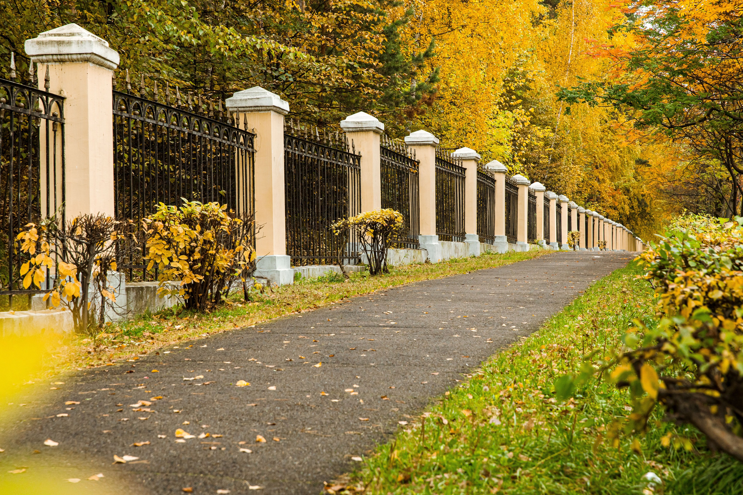 Осень в парке. Семейный и детский фотограф в Железногорске Саламахо Ольга