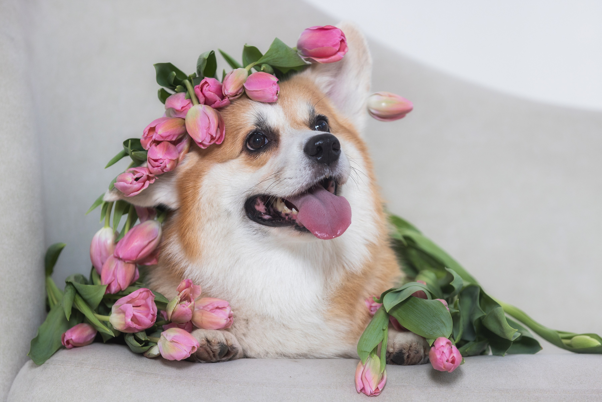 Фотограф Алена Звездина