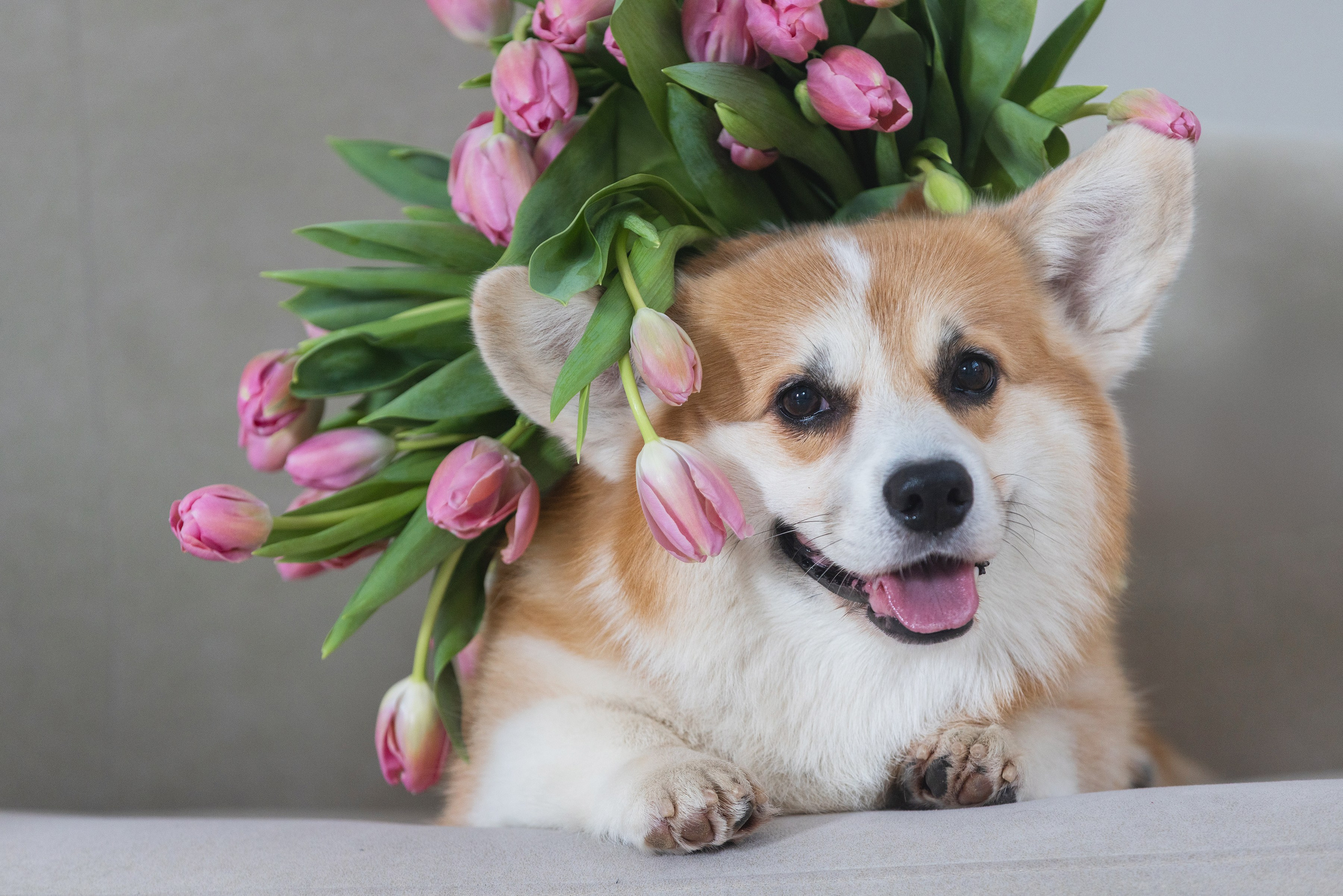 Фотограф Алена Звездина
