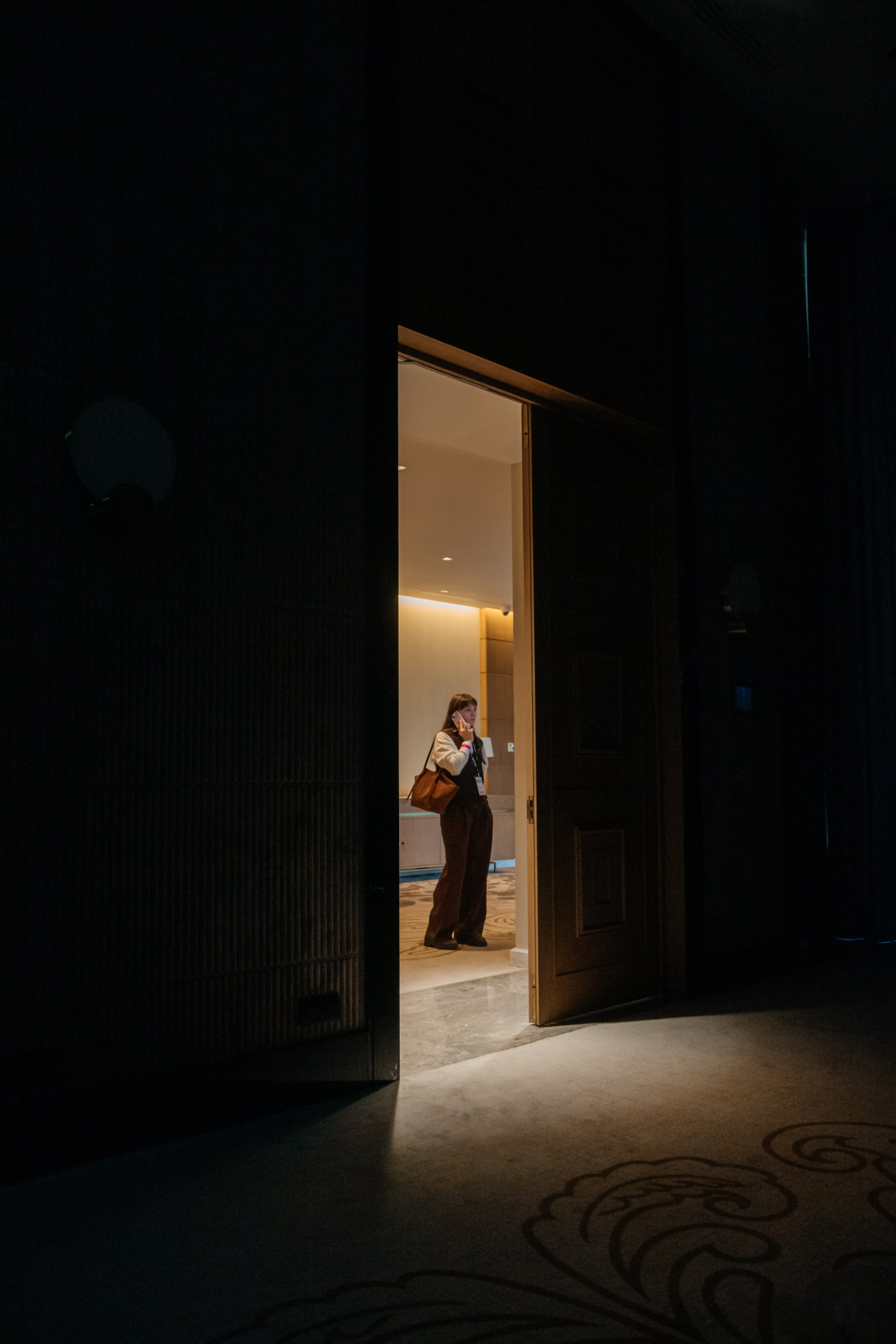 AAA CONF. Фотограф Александр Бигари