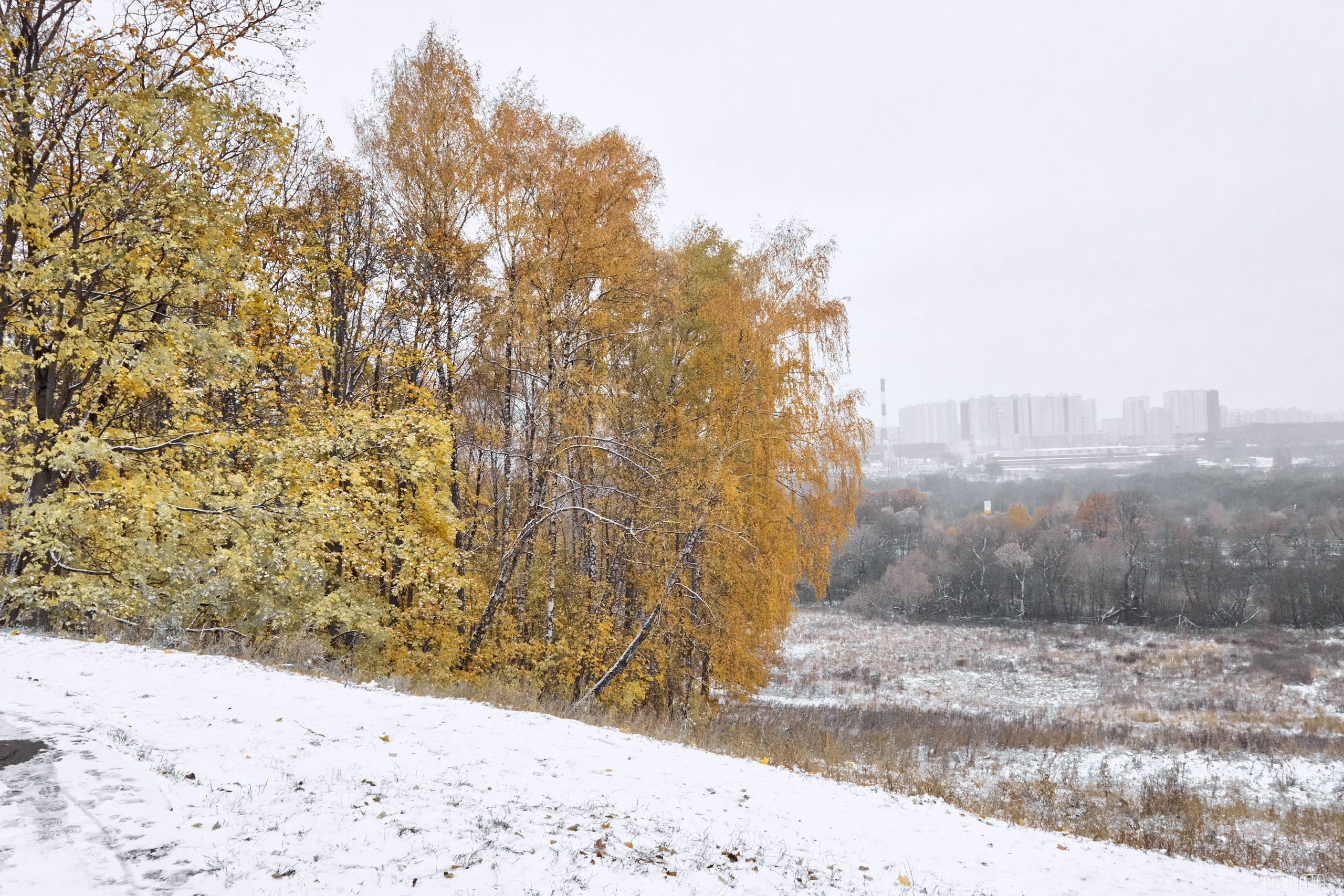 «Иду лесом». Кофе лофт в Братцево. Фотографъ Сергѣевъ. Поймать мгновеніе