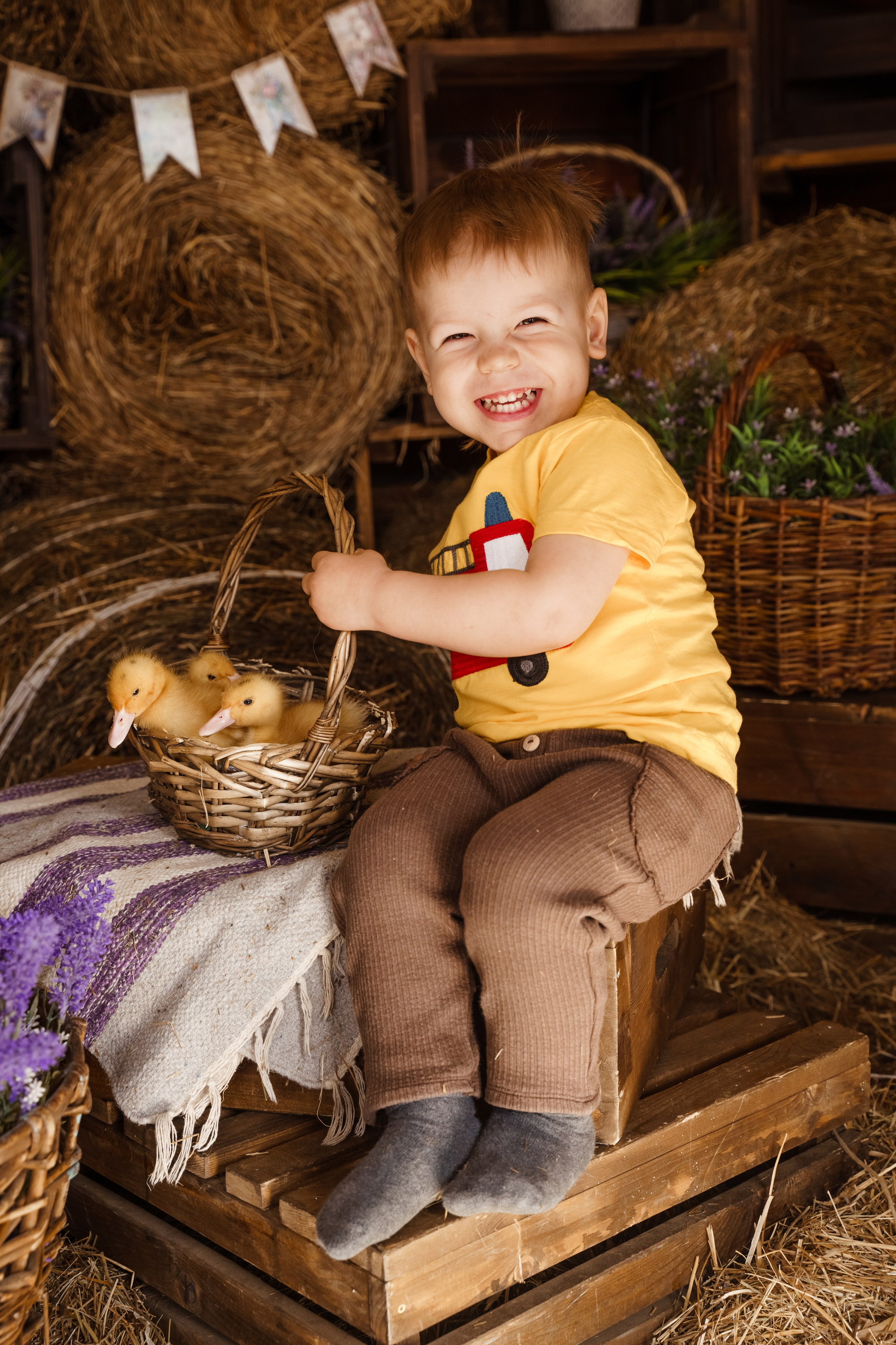 Фотосессия с утятами в студии