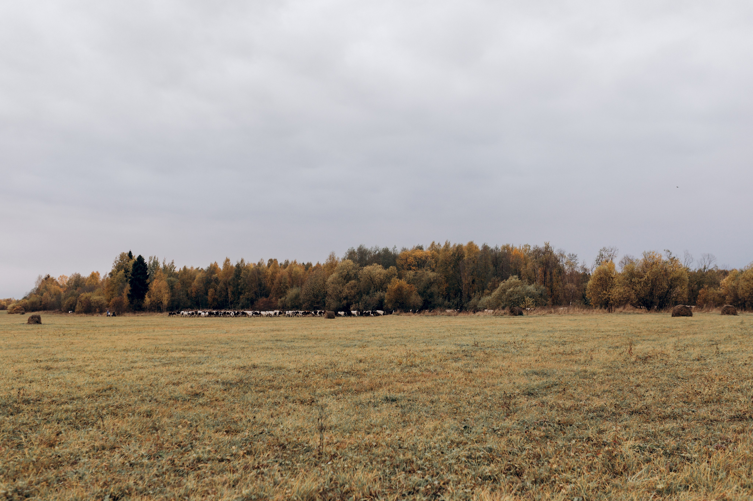 Услуги. Семейный фотограф из Екатеринбурга Катя Маруневич