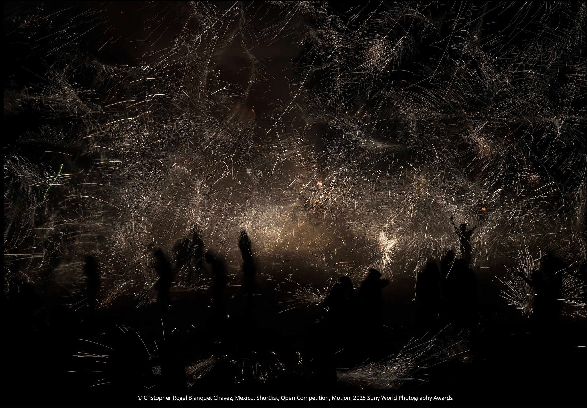 Победители и проигравшие фотоконкурса Sony World Photography Awards 2025. Фотограф Михаил Мордасов, Сочи. Мероприятия, портреты, спорт, репортаж