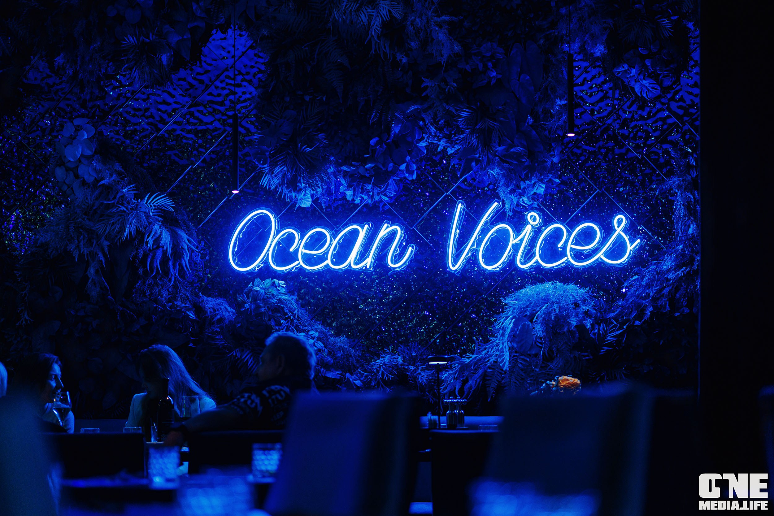 Фоторепортаж из ресторана Океан. One Media Life: фоторепортажи, фотоотчеты с мероприятий и заведений