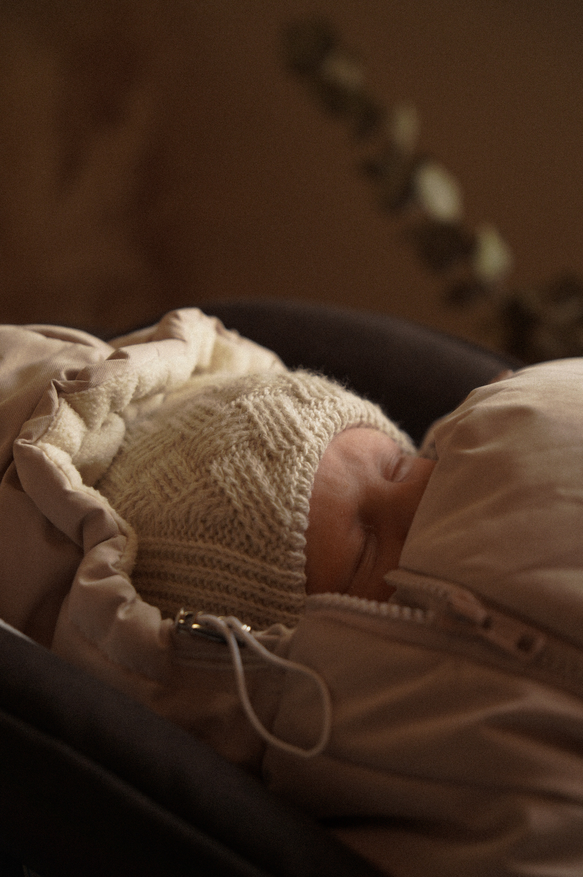 Семья Монастыршиных. Свадебный и семейный фотограф в Абакане Василевский Алексей