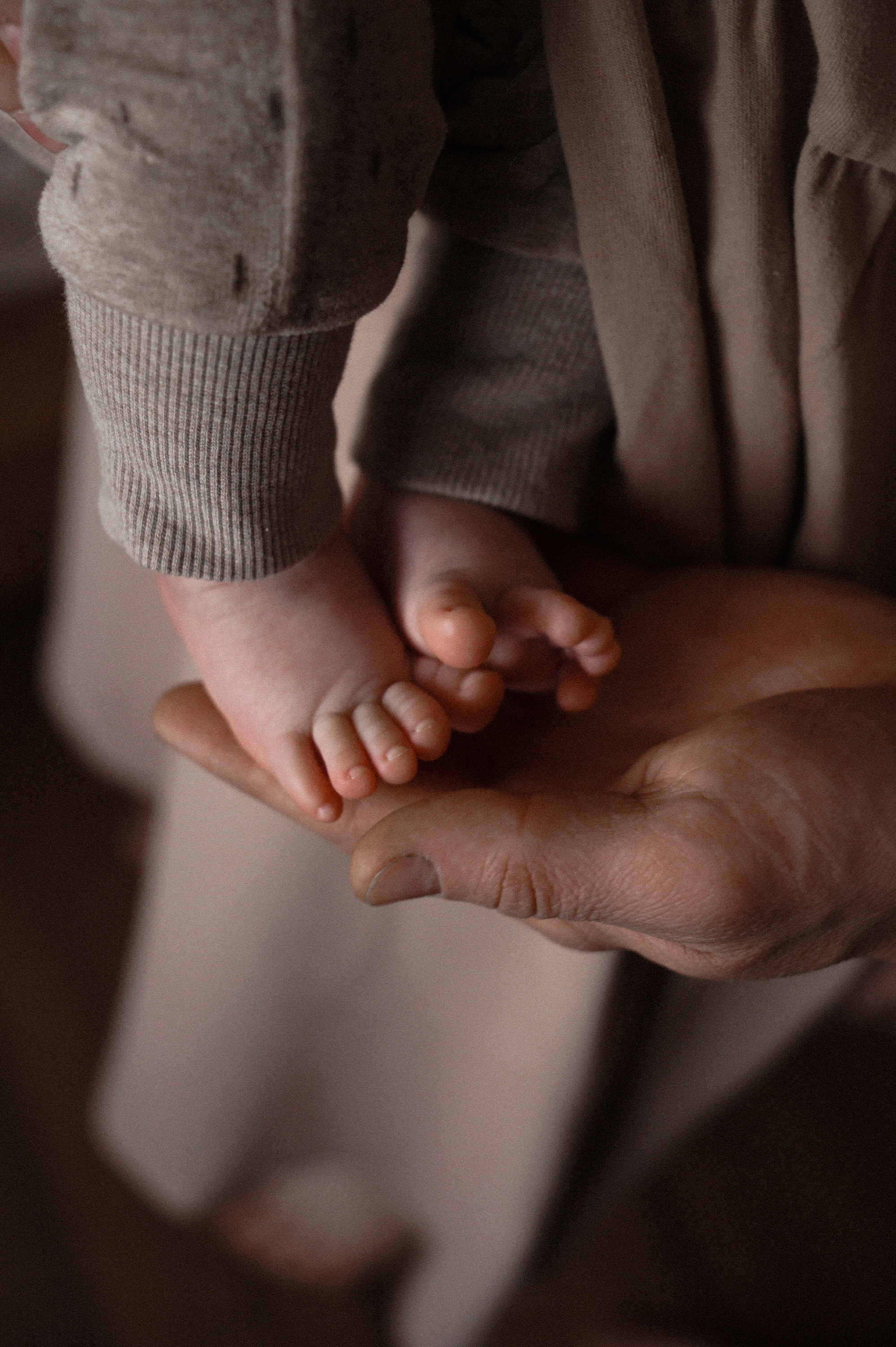 Семья Монастыршиных. Свадебный и семейный фотограф в Абакане Василевский Алексей