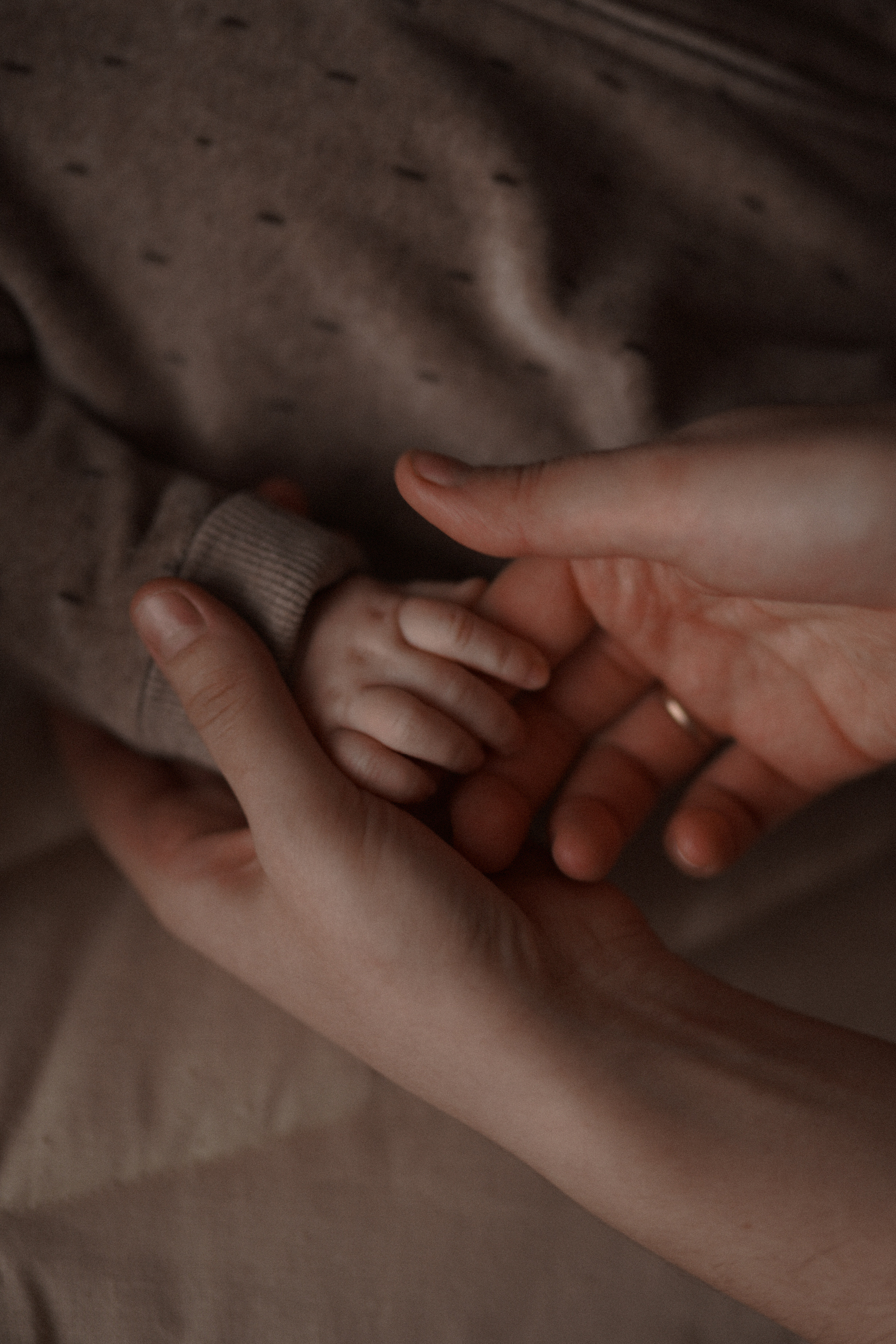 Семья Монастыршиных. Свадебный и семейный фотограф в Абакане Василевский Алексей