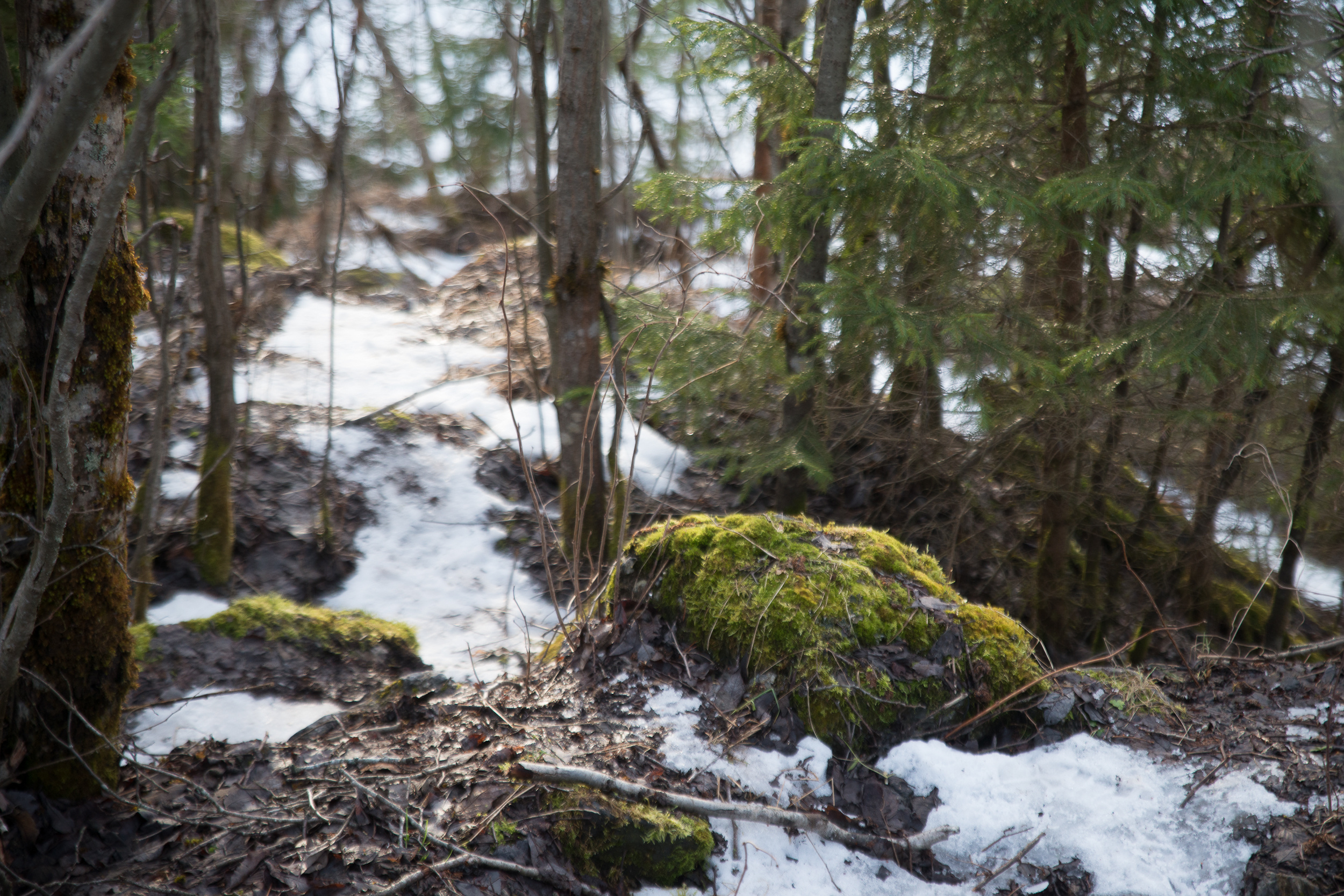 Путешествие в Рускеалу. Портретный фотограф в Москве Алексей Михайлов