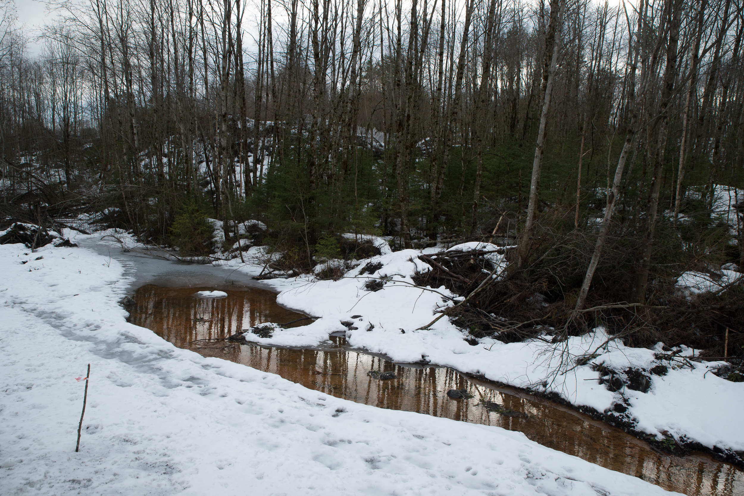 Путешествие в Рускеалу. Портретный фотограф в Москве Алексей Михайлов