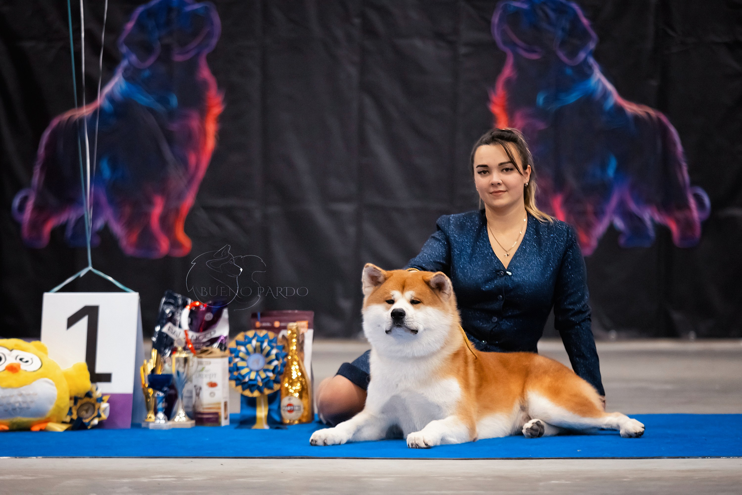 Щенки японской акита ину из питомника. Питомник собак Акита, Хаски, Корги