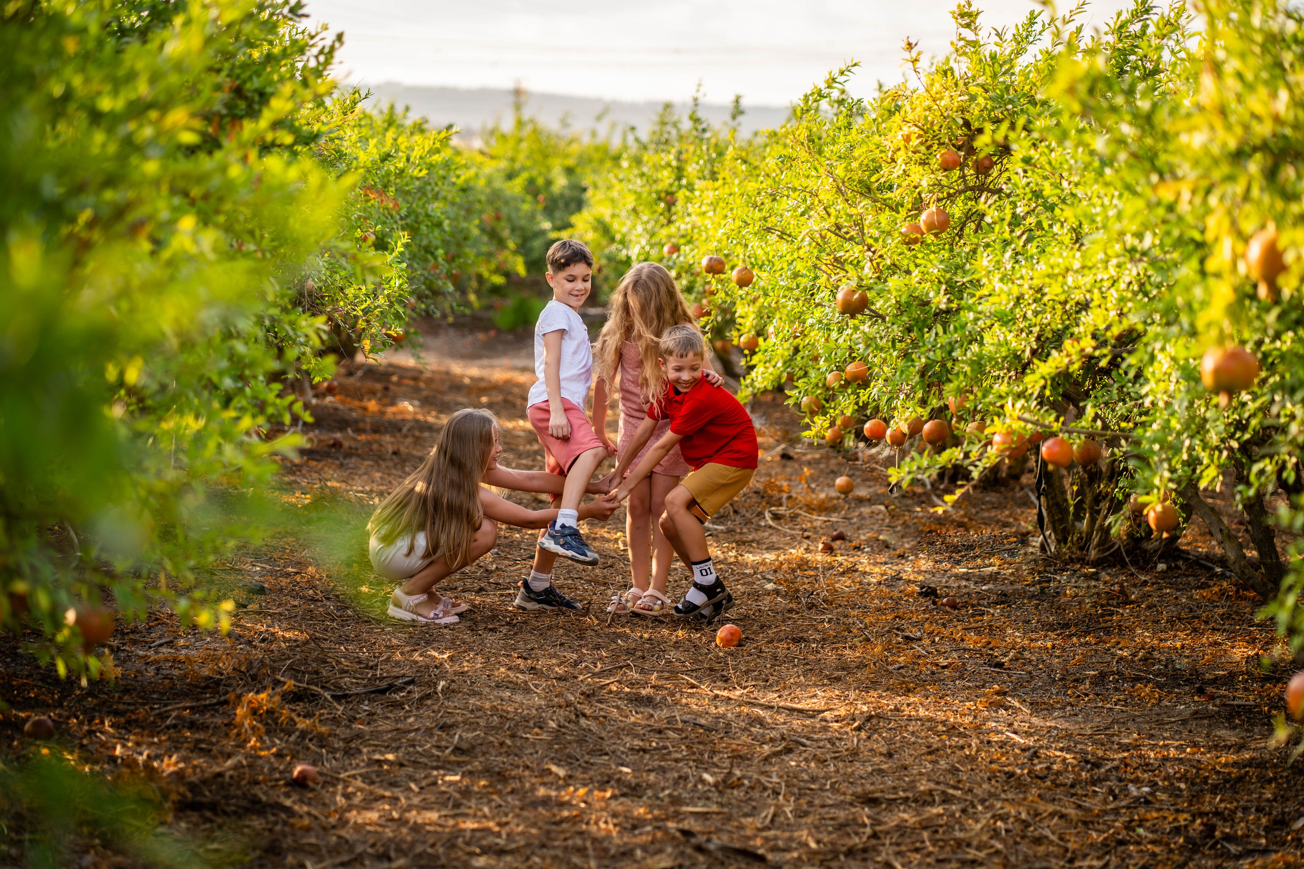 Гранатовый сад. Семейный и детский фотограф в Израиле и Москве Дорошок Надя