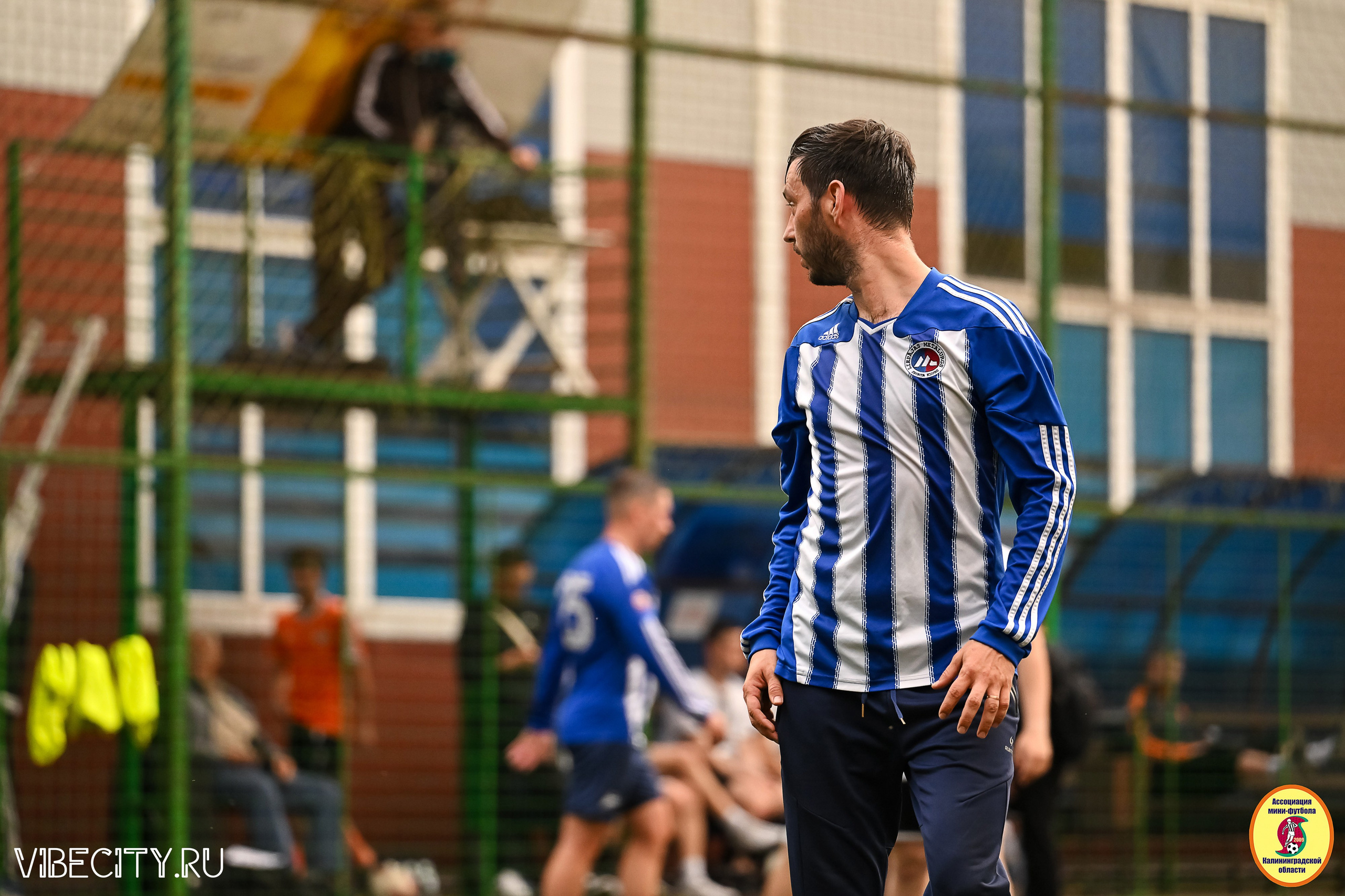ИГРЫ МИНИ-ФУТБОЛЬНОЙ И КОРПОРАТИВНОЙ ЛИГИ. VIBECITY.RU Вайб Сити Ру Фоторепортажи Фотоотчеты Калининград