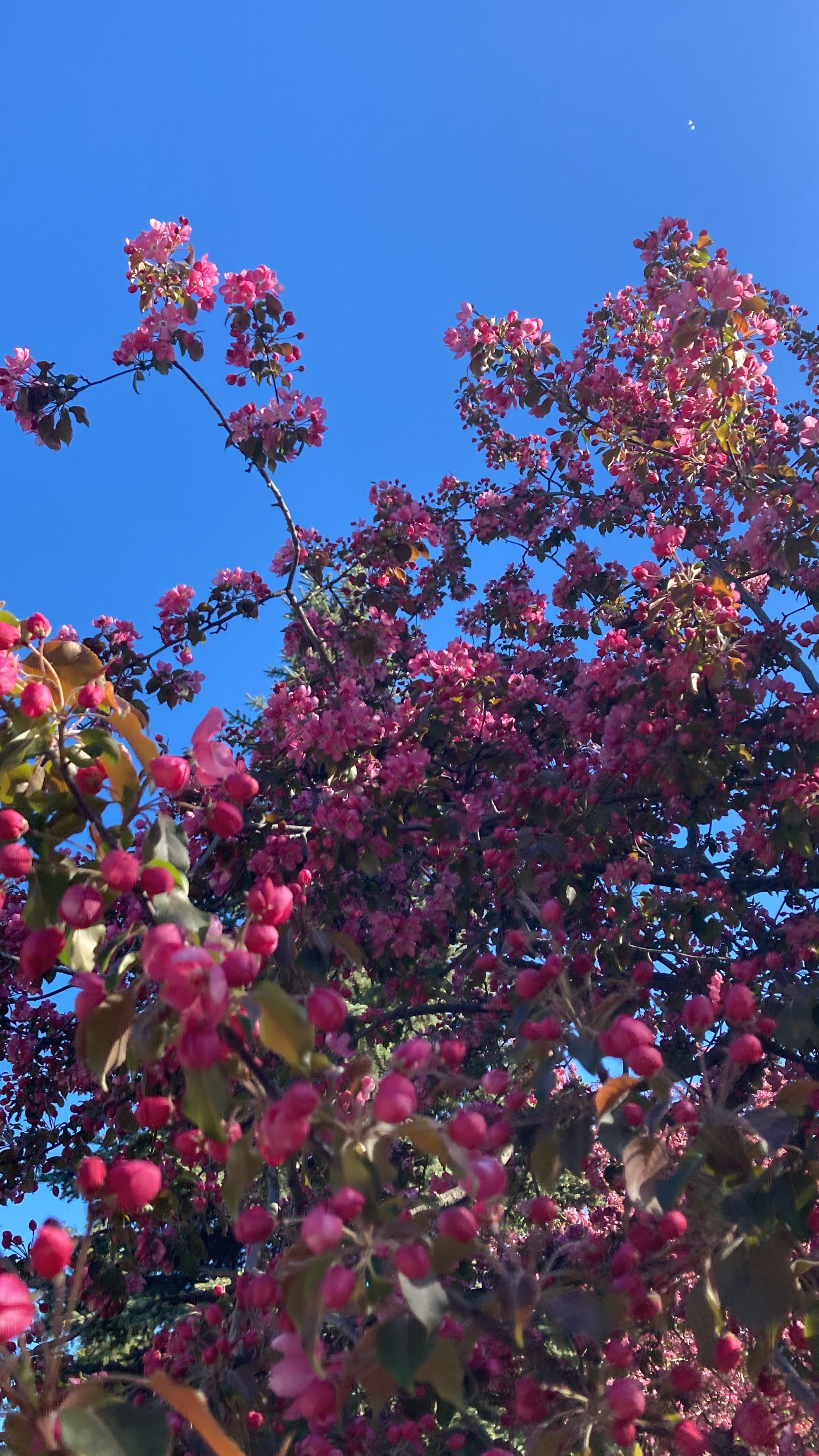 Идем на восток. Портретный фотограф Москва, репортаж и естественная постановка