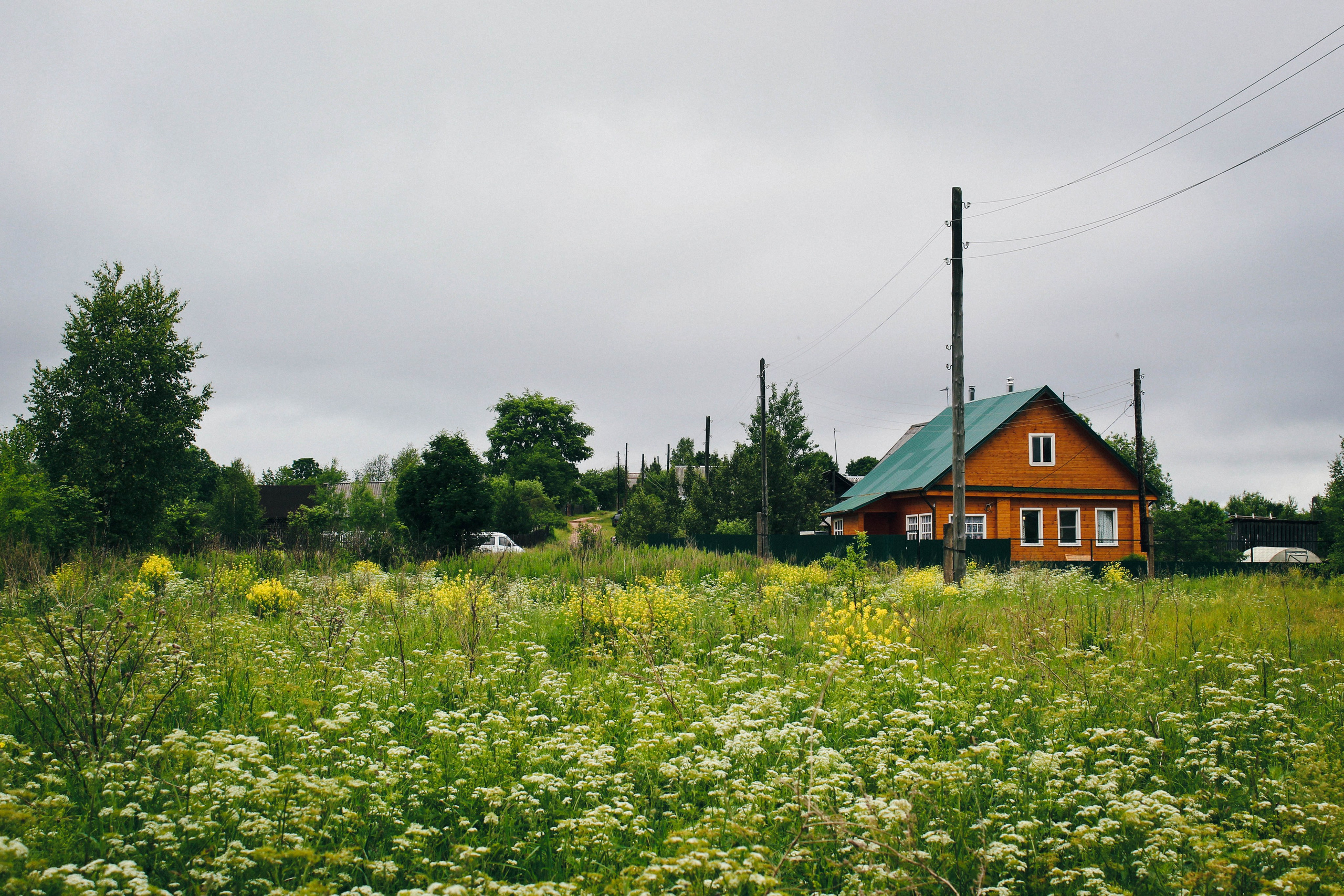 Дер. Климово, пос. Мирный. Фотограф Ксения Монахова