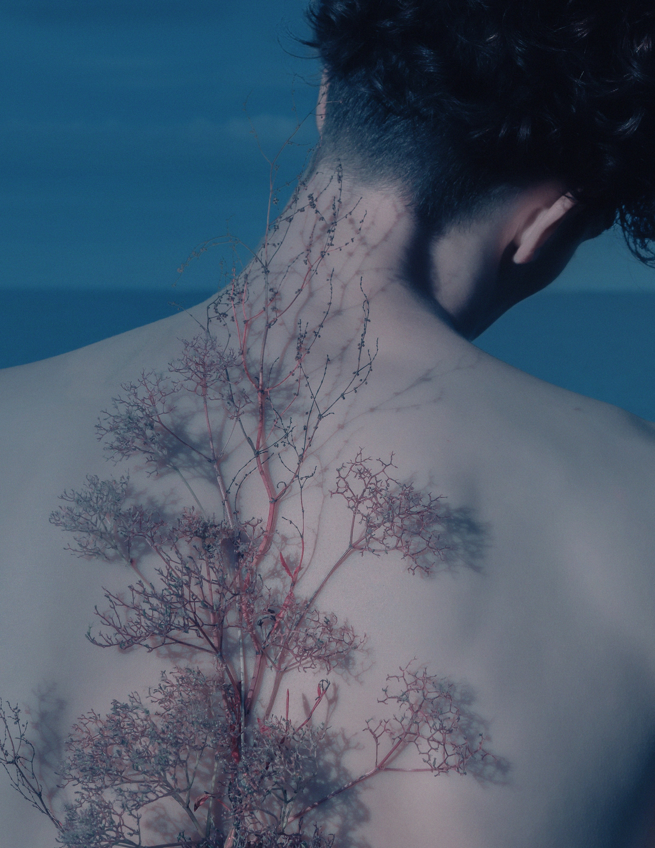 Amor Seco. Художественная фотография в Санкт-Петербурге Алина Берёзкина