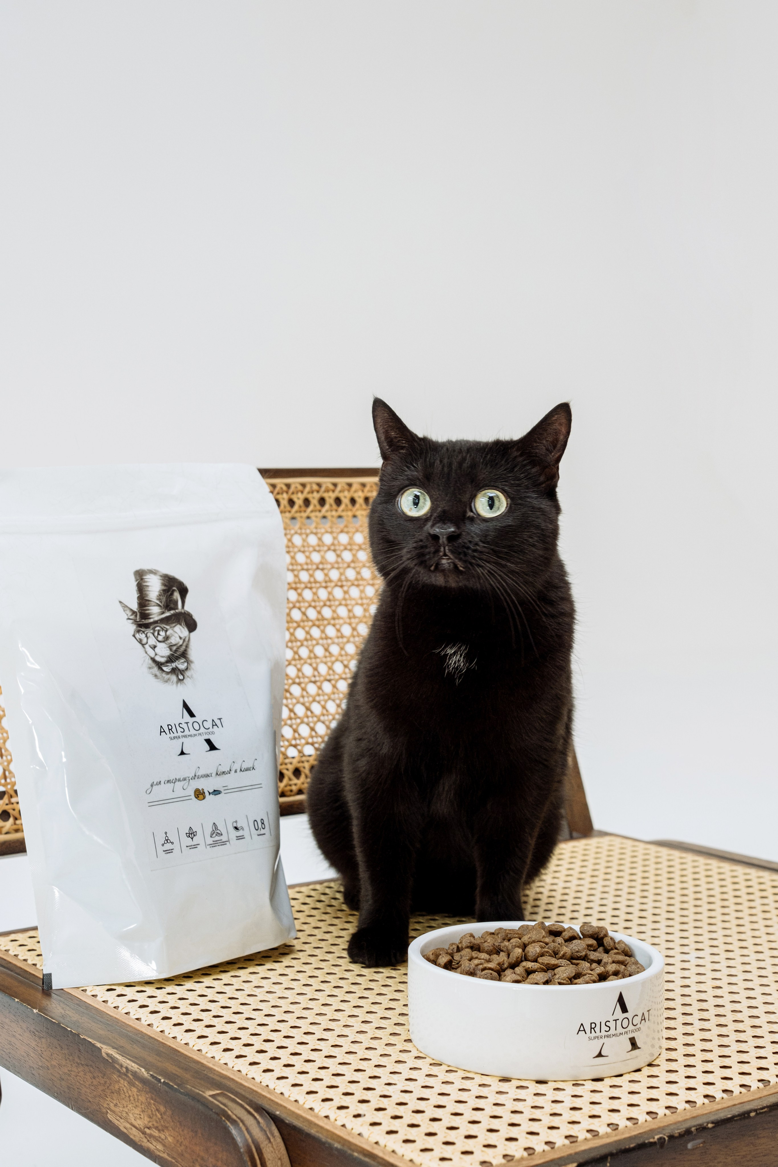 ARISTODOG. Фотограф и видеограф Анна Жагорина